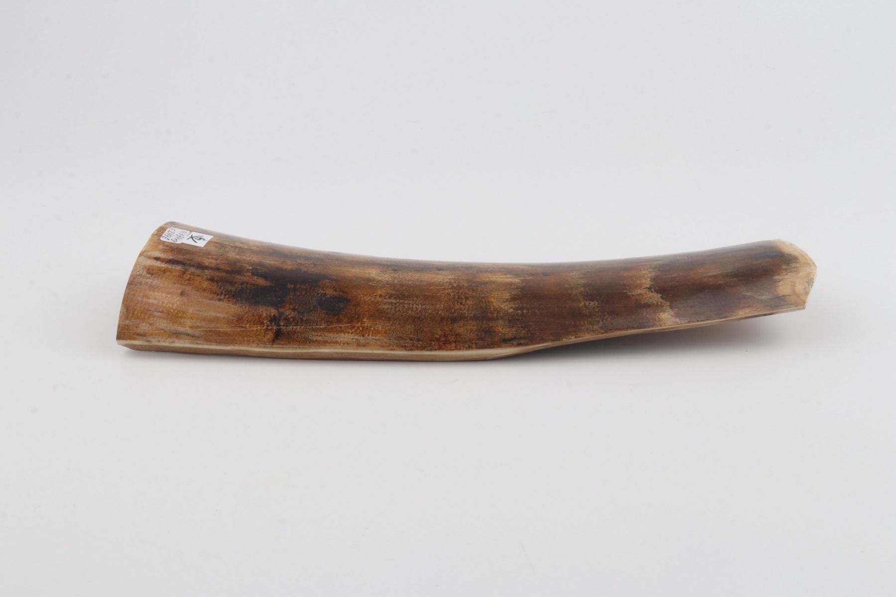 Brown-yellow mammoth bark 