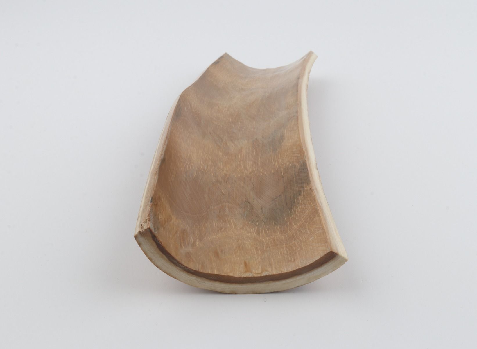 Brown-yellow mammoth bark 