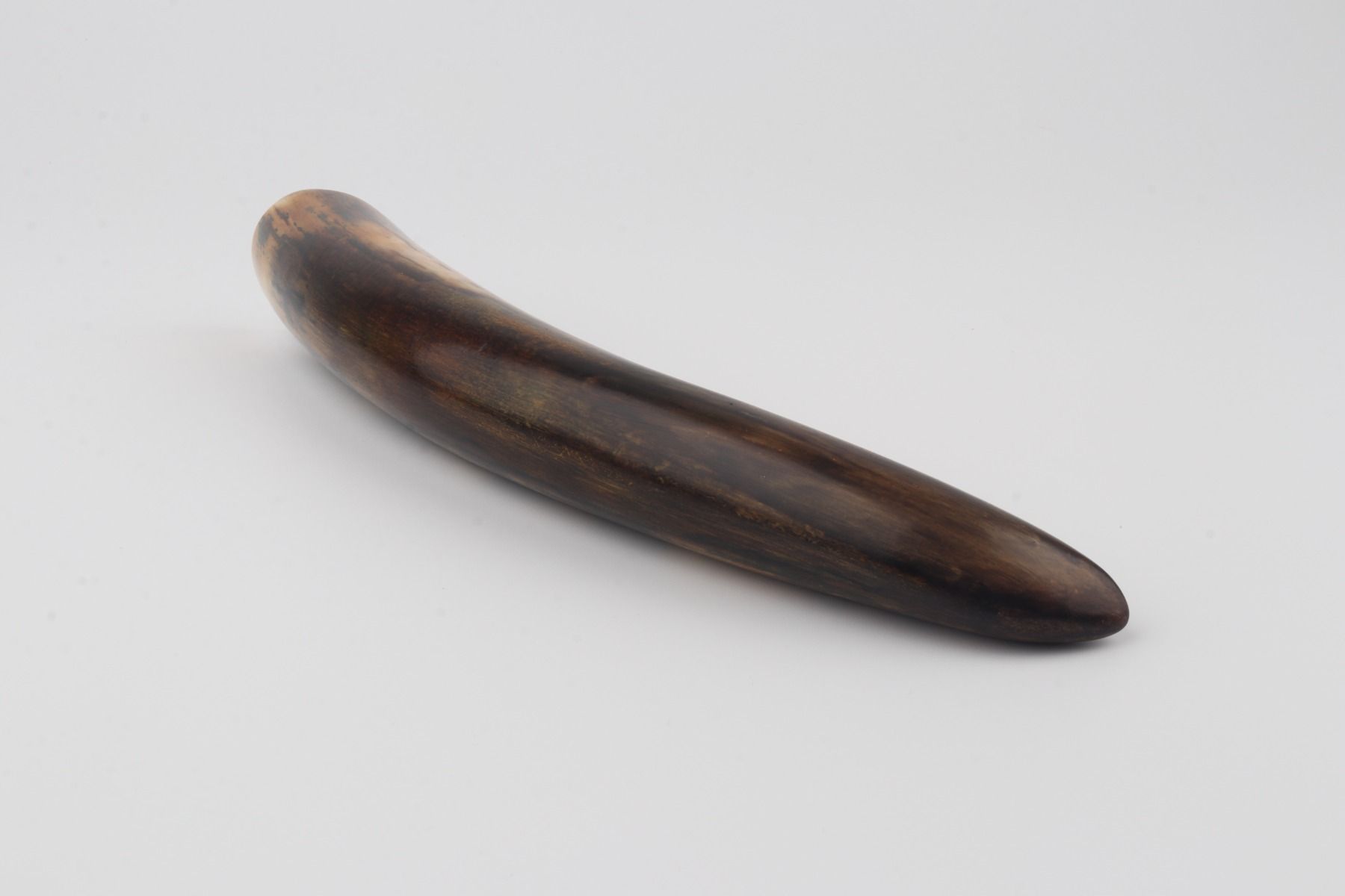 Restore mammoth tusk tip
