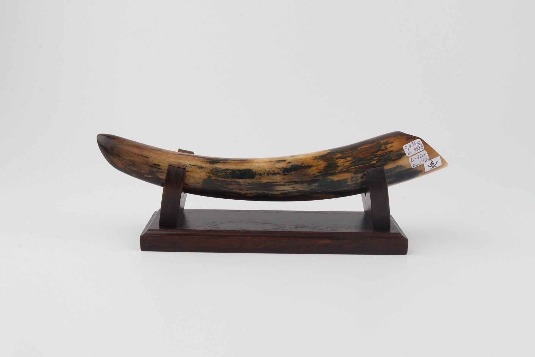 Restore mammoth tusk tip