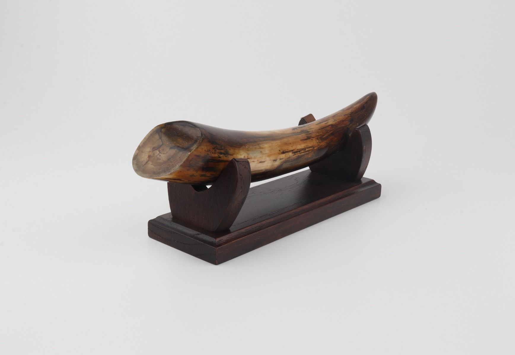 Restore mammoth tusk tip