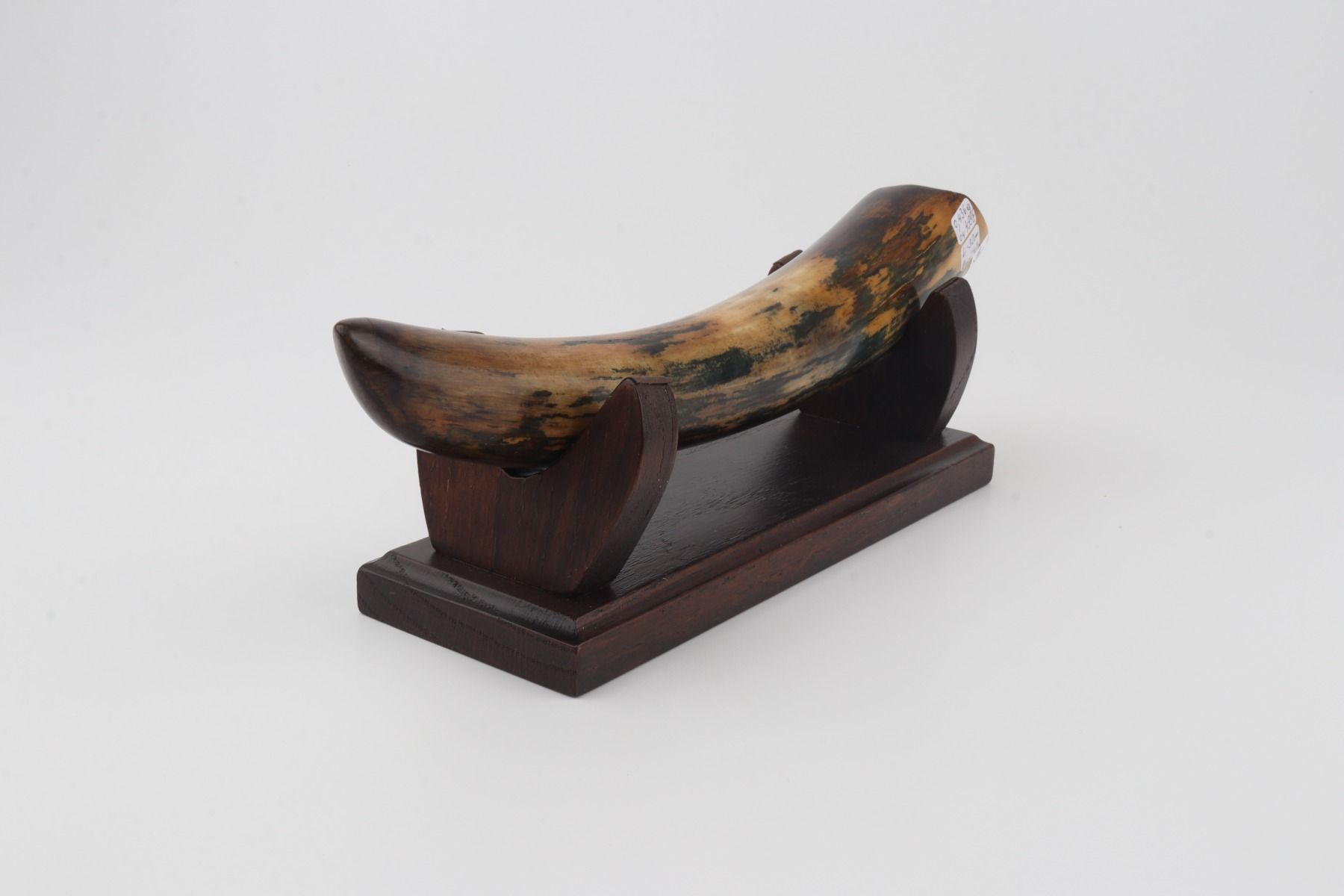 Restore mammoth tusk tip