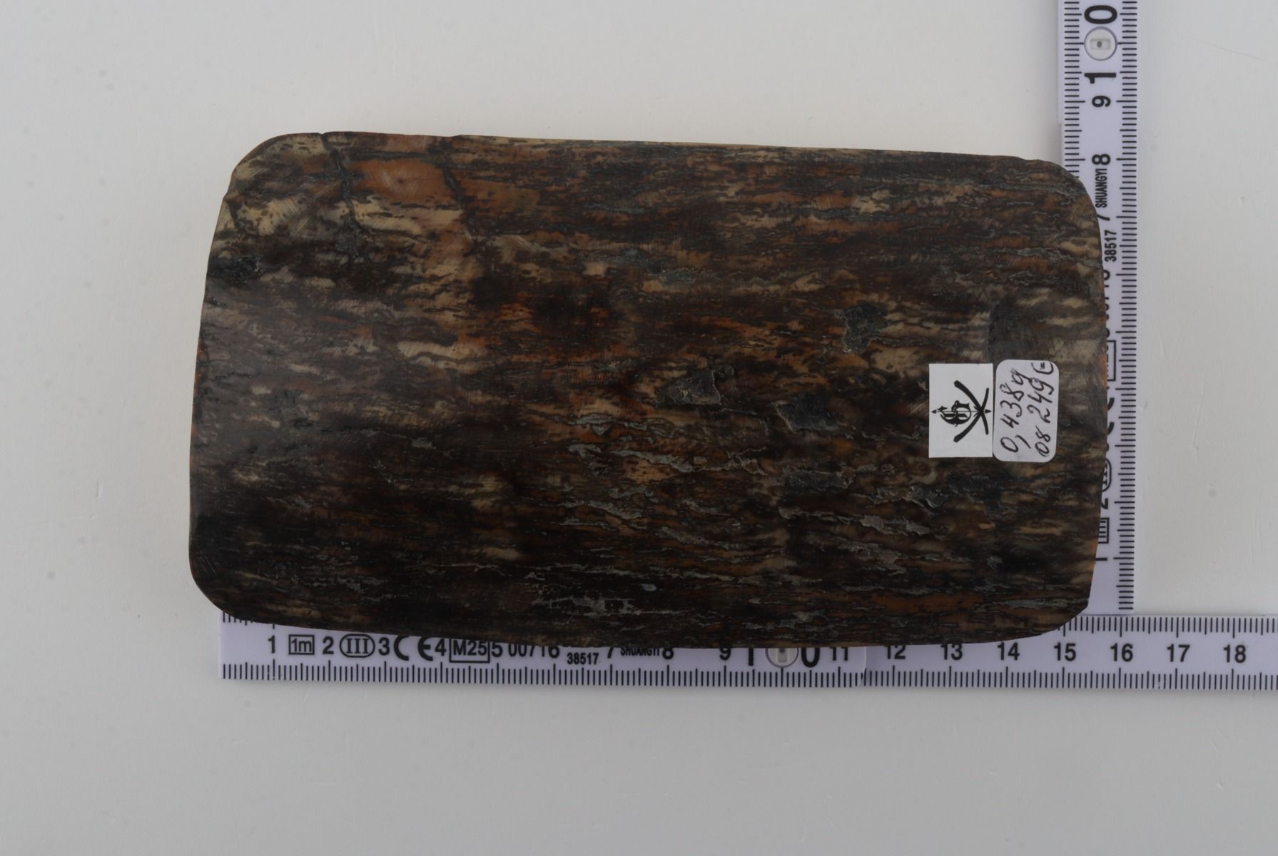Brown-grey mammoth bark