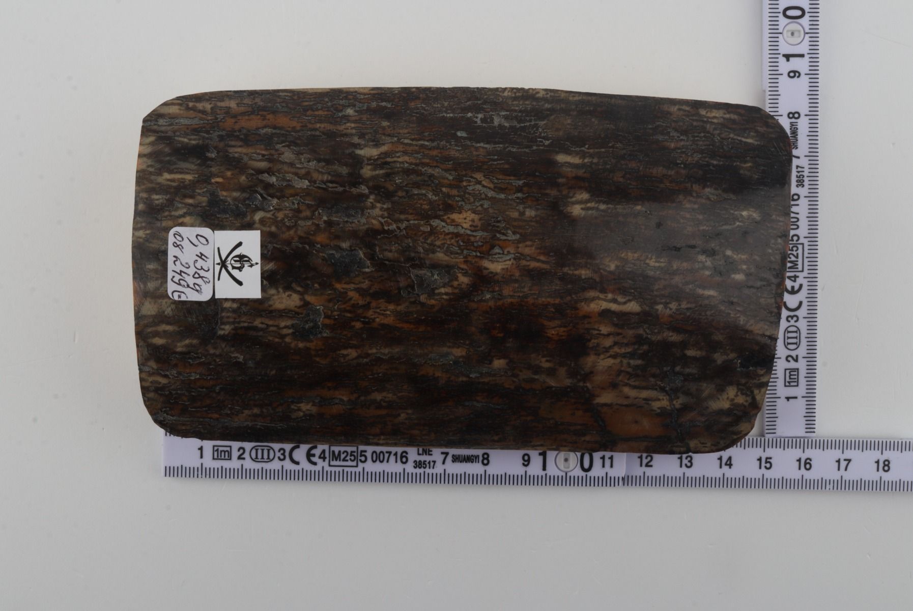 Brown-grey mammoth bark