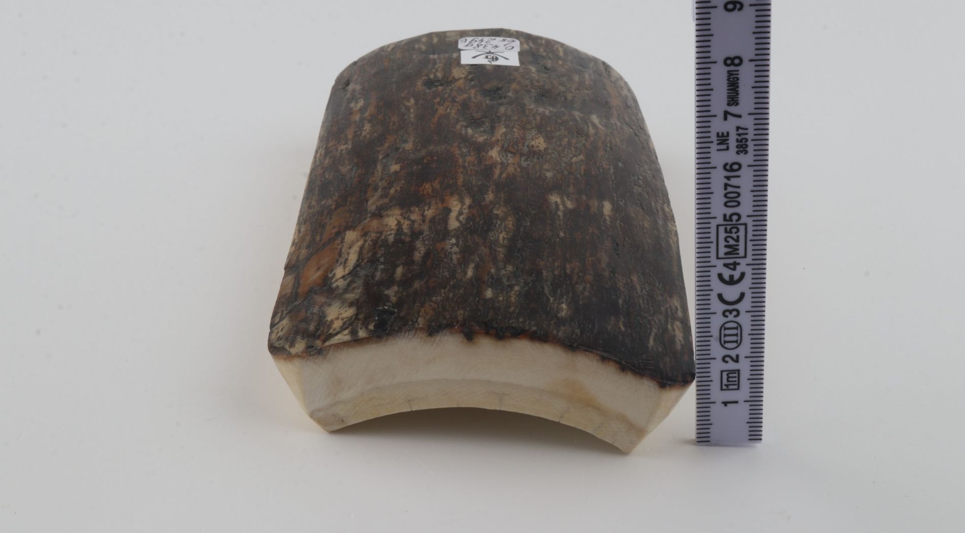 Brown-grey mammoth bark