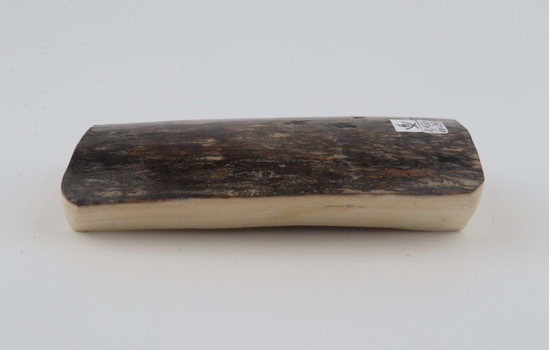 Brown-grey mammoth bark