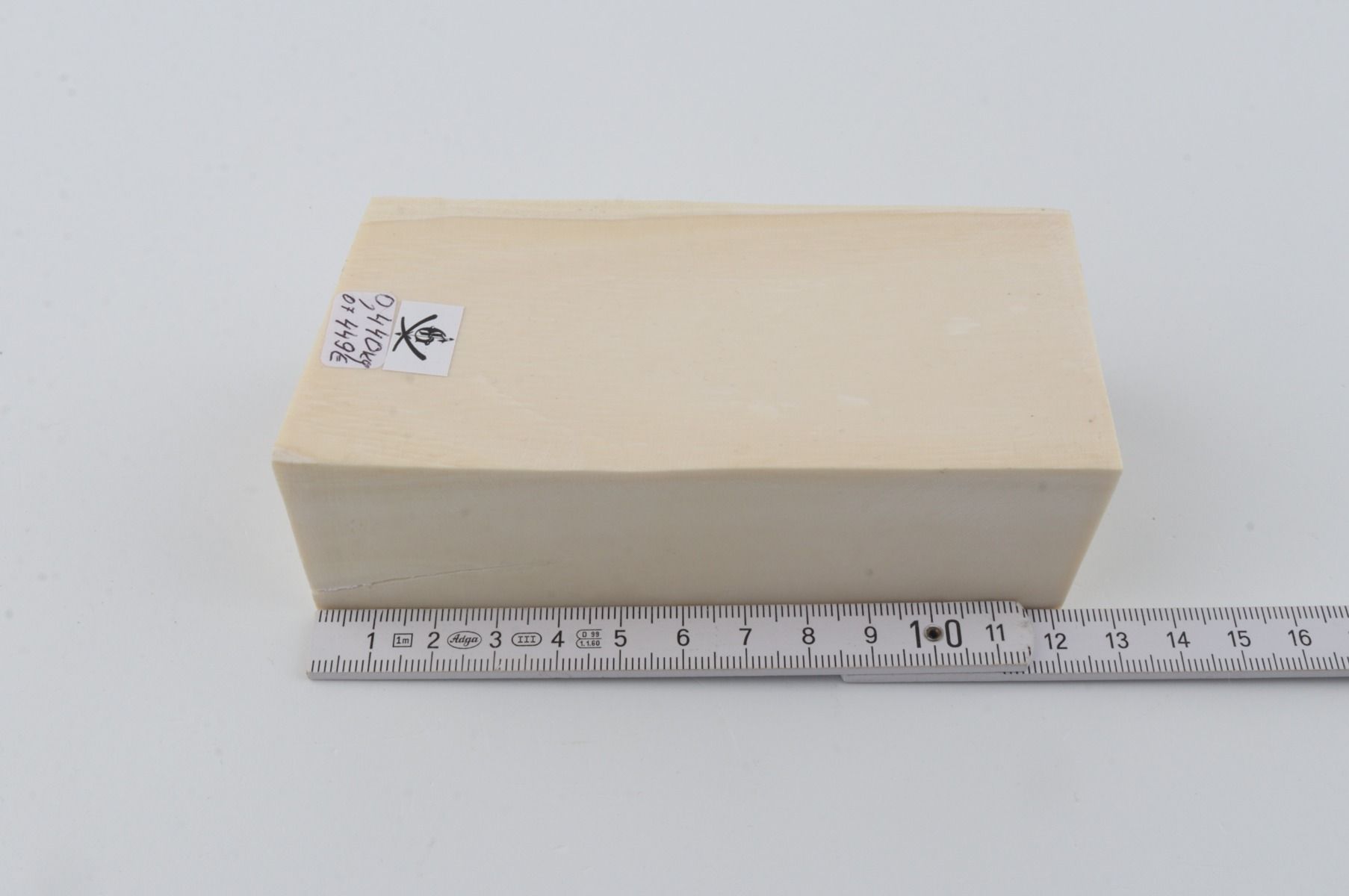 White mammoth ivory segment