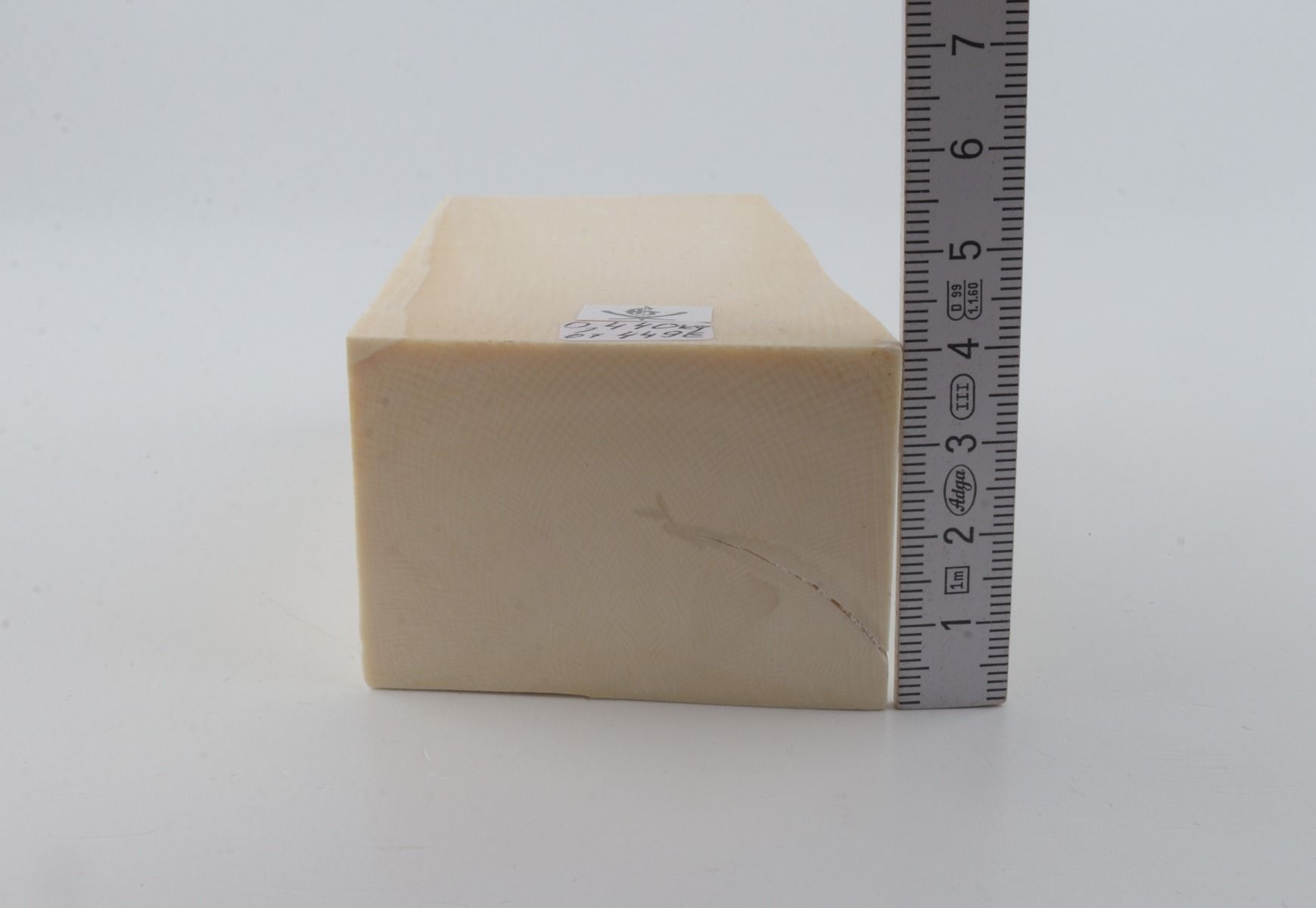 White mammoth ivory segment