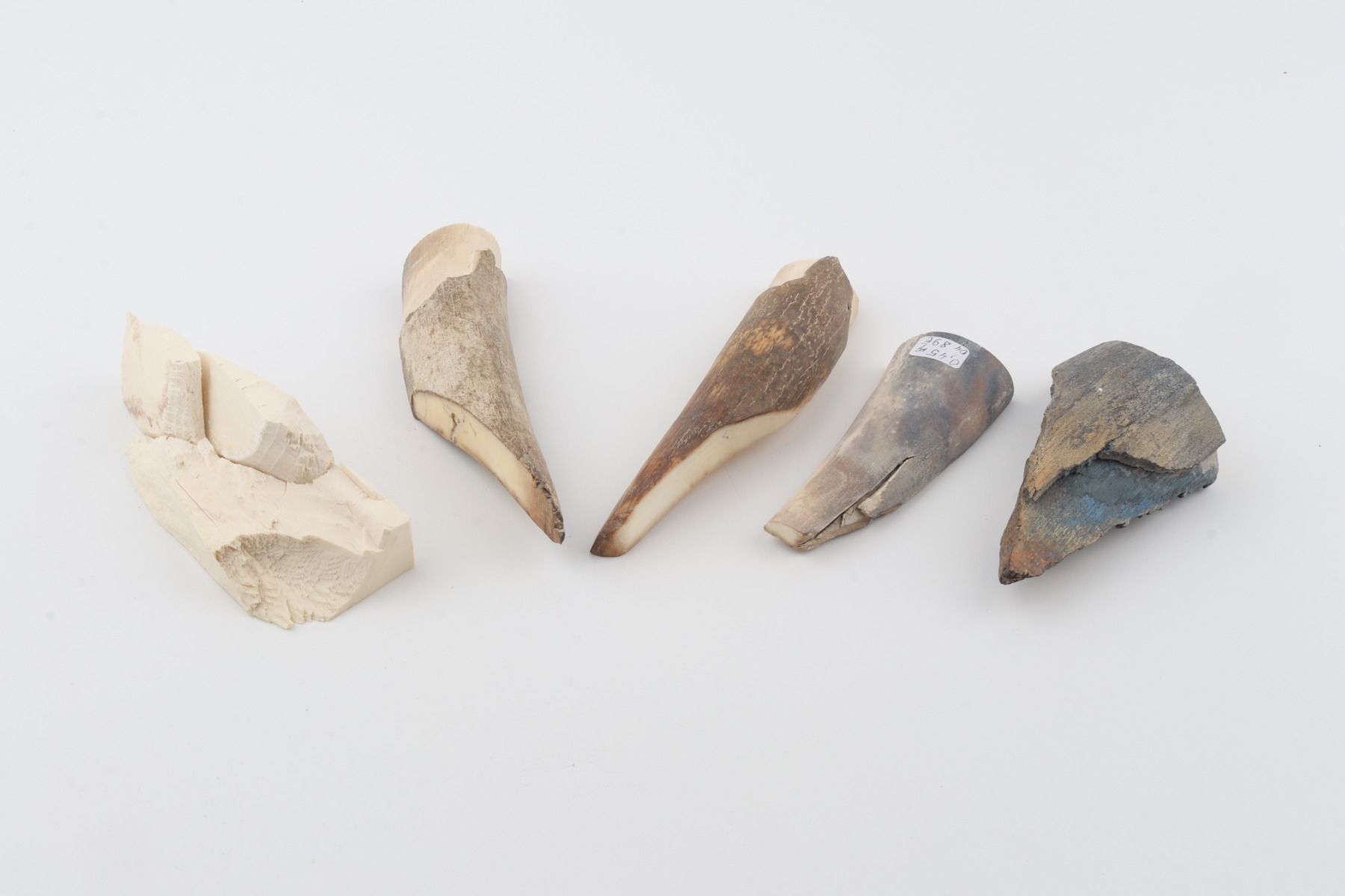 Raw mammoth ivory offcuts