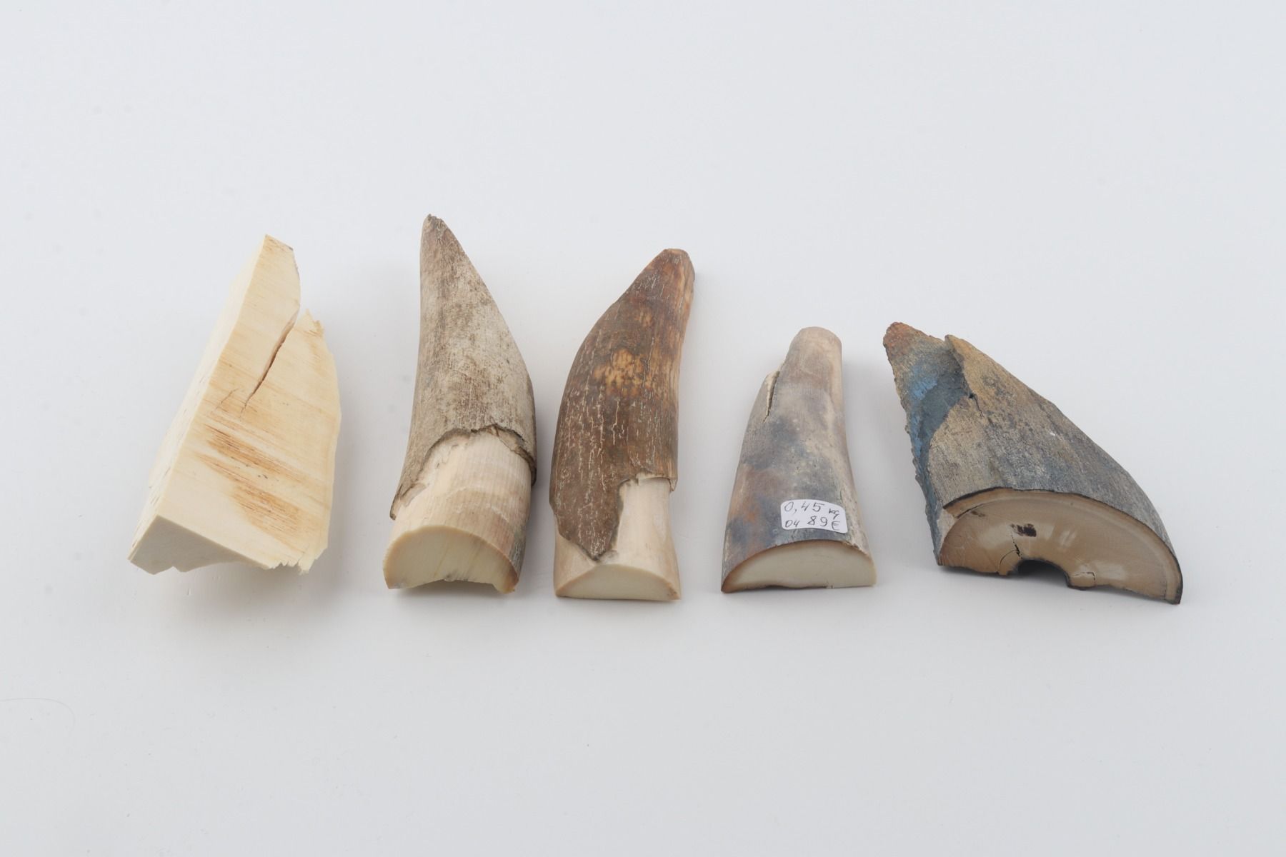 Raw mammoth ivory offcuts