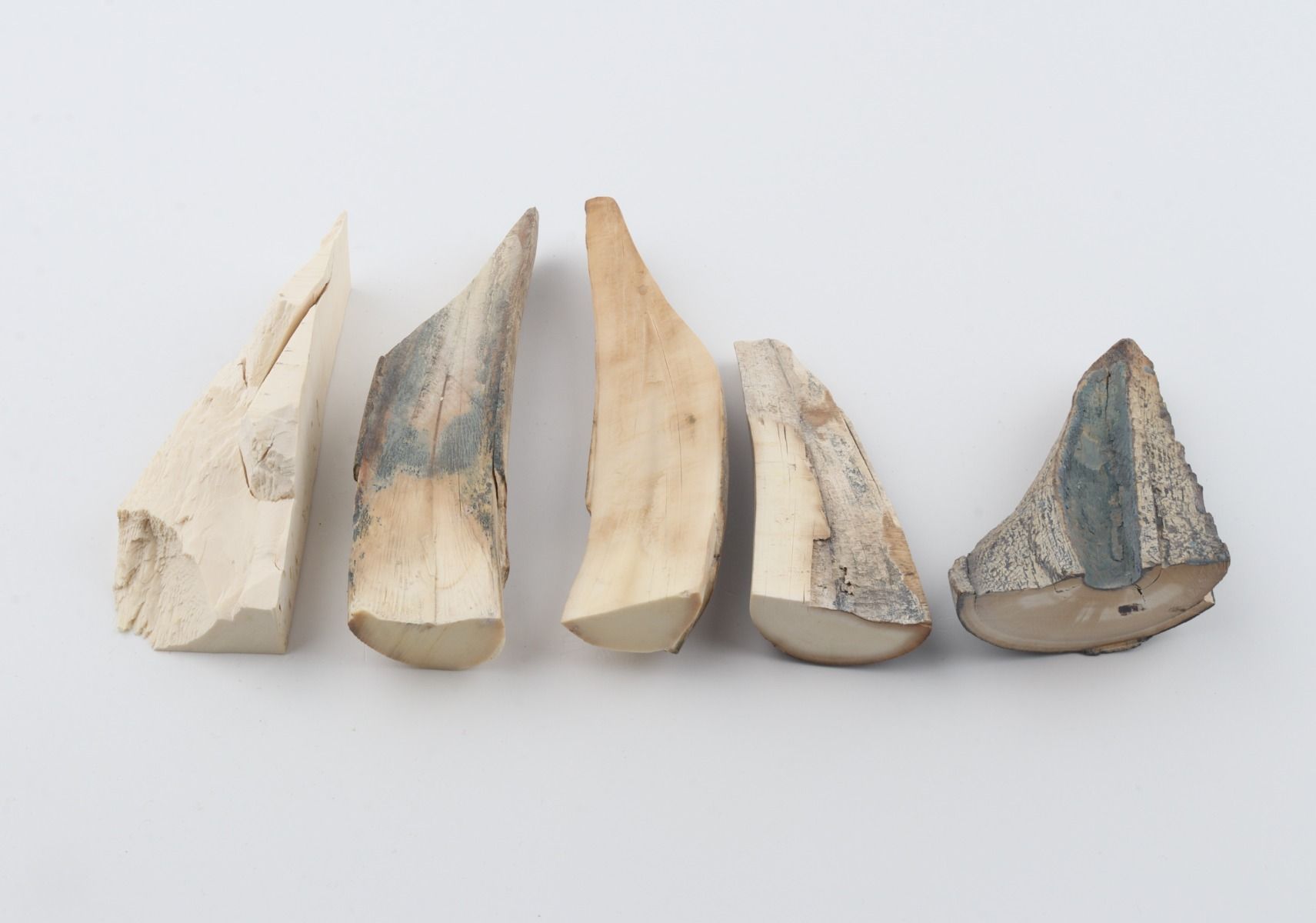 Raw mammoth ivory offcuts