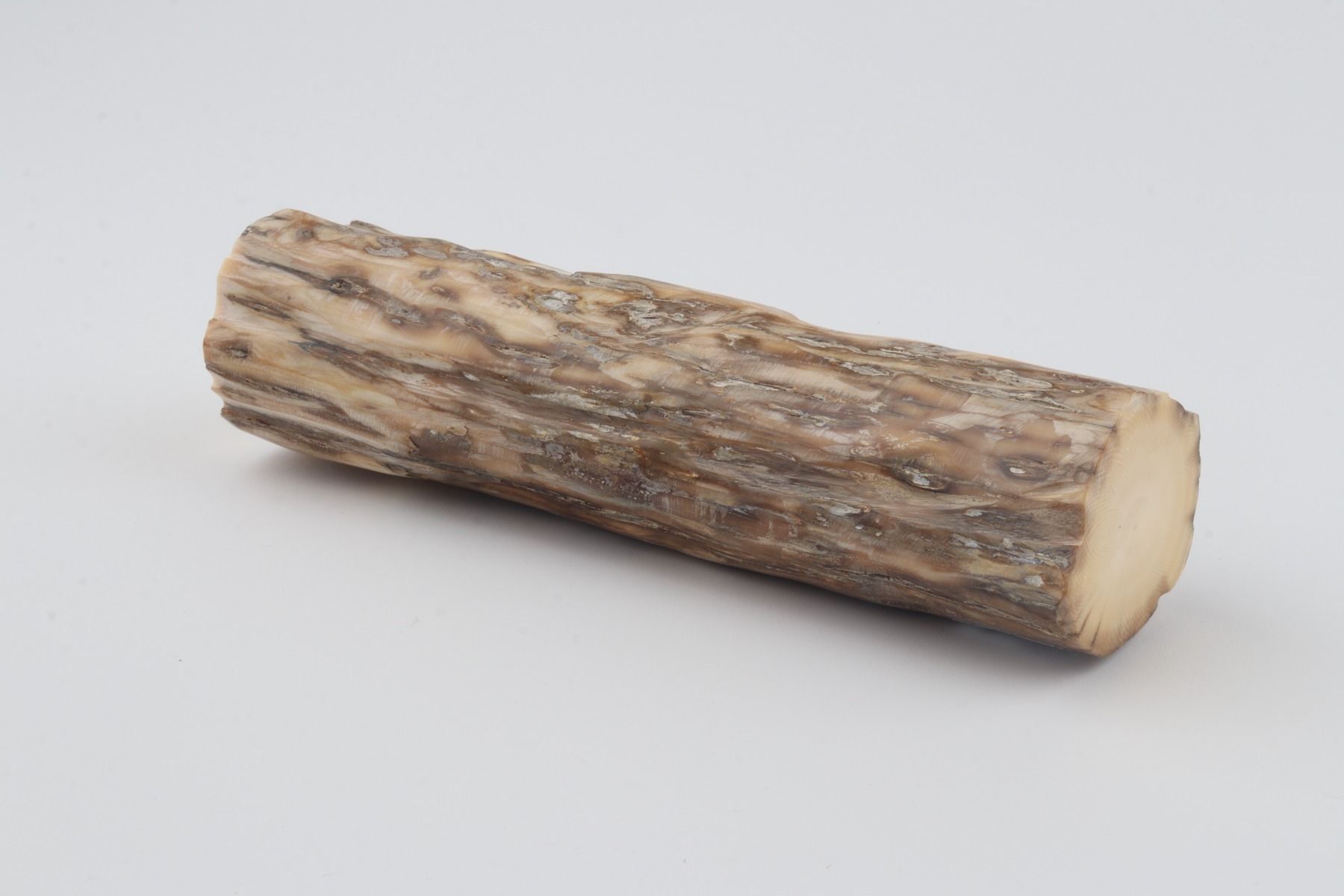 Round mammoth tusk piece