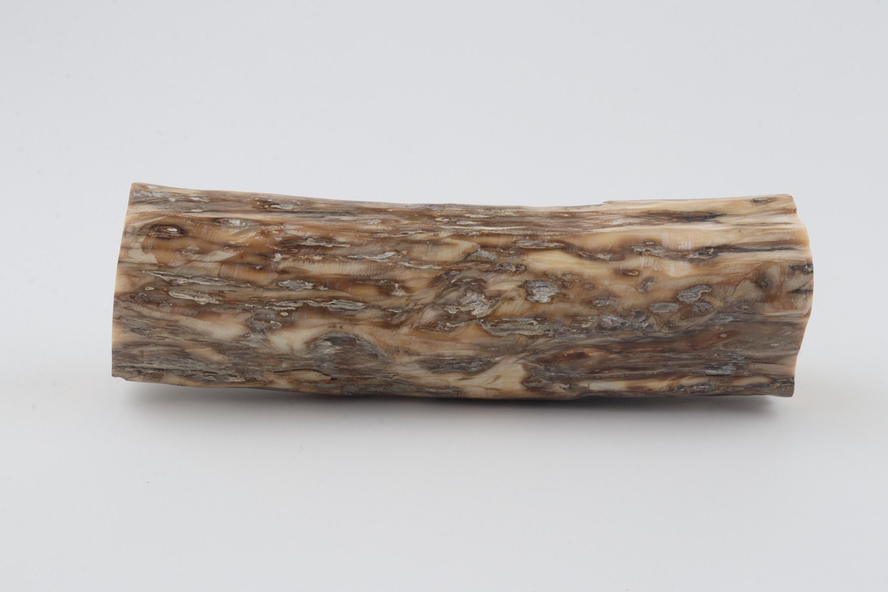 Round mammoth tusk piece