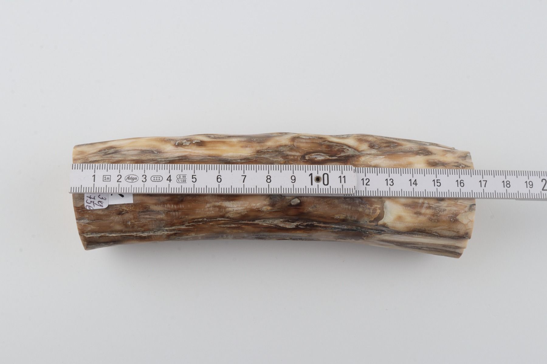 Round mammoth tusk piece