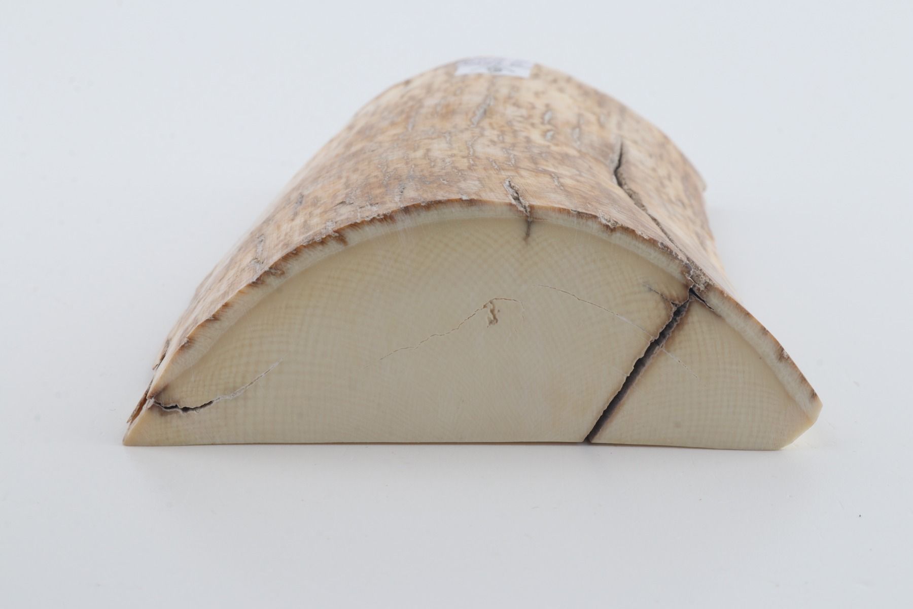 Natural mammoth ivory piece