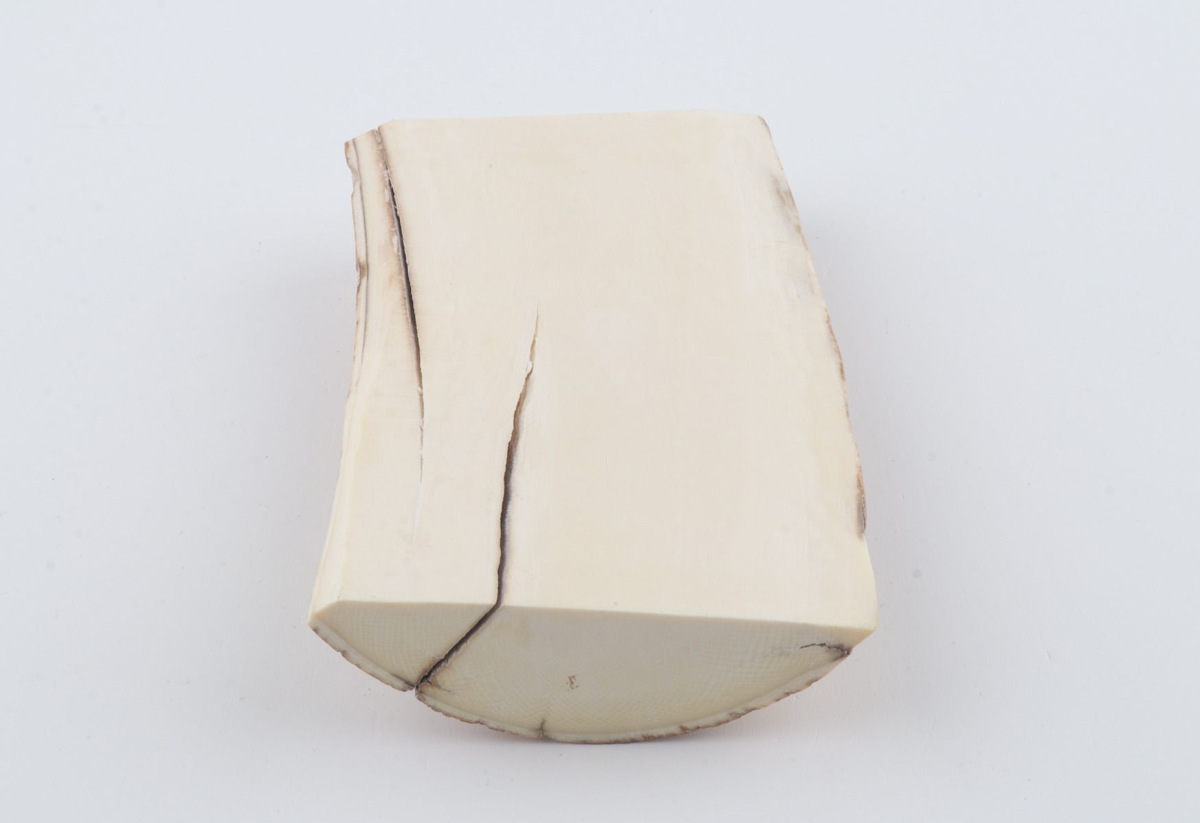 Natural mammoth ivory piece
