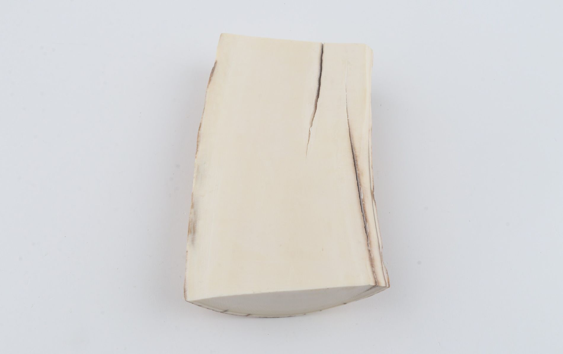 Natural mammoth ivory piece