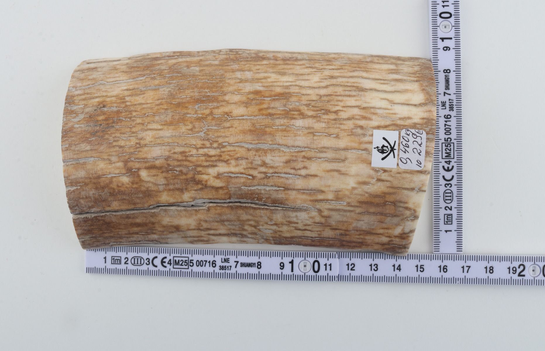 Natural mammoth ivory piece