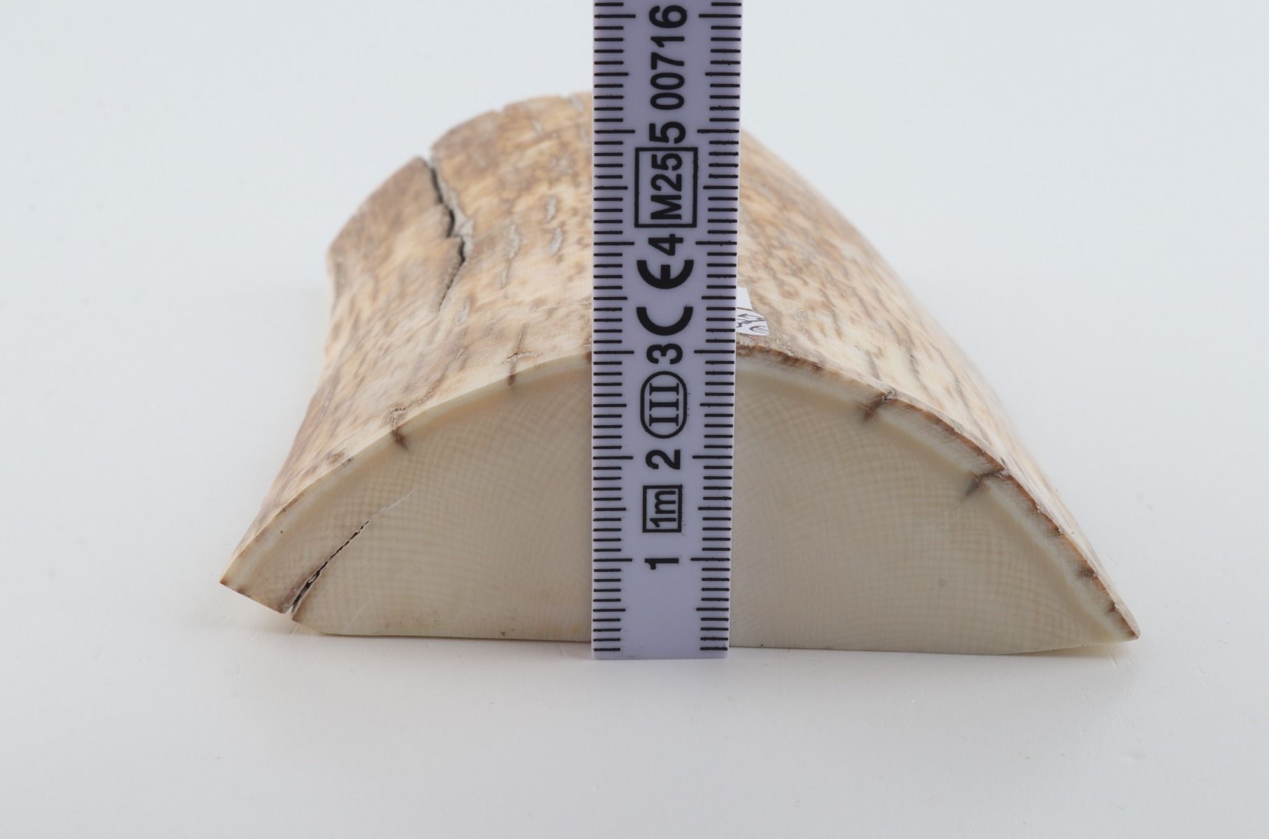 Natural mammoth ivory piece