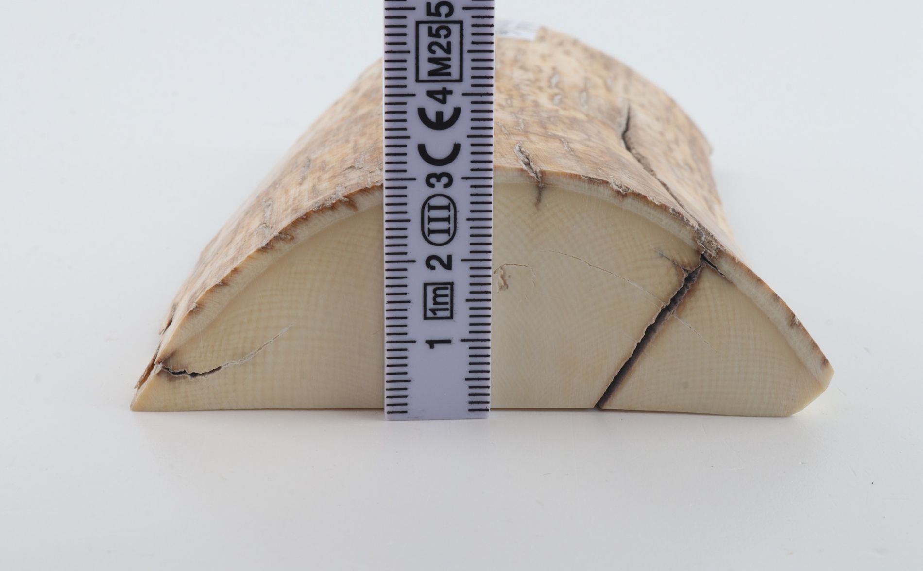 Natural mammoth ivory piece