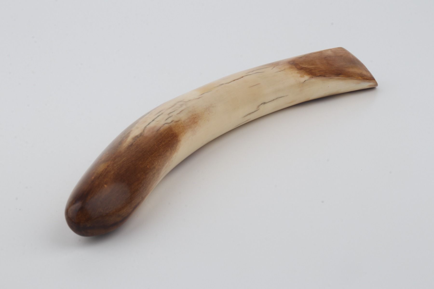 Restored mammoth tusk tip