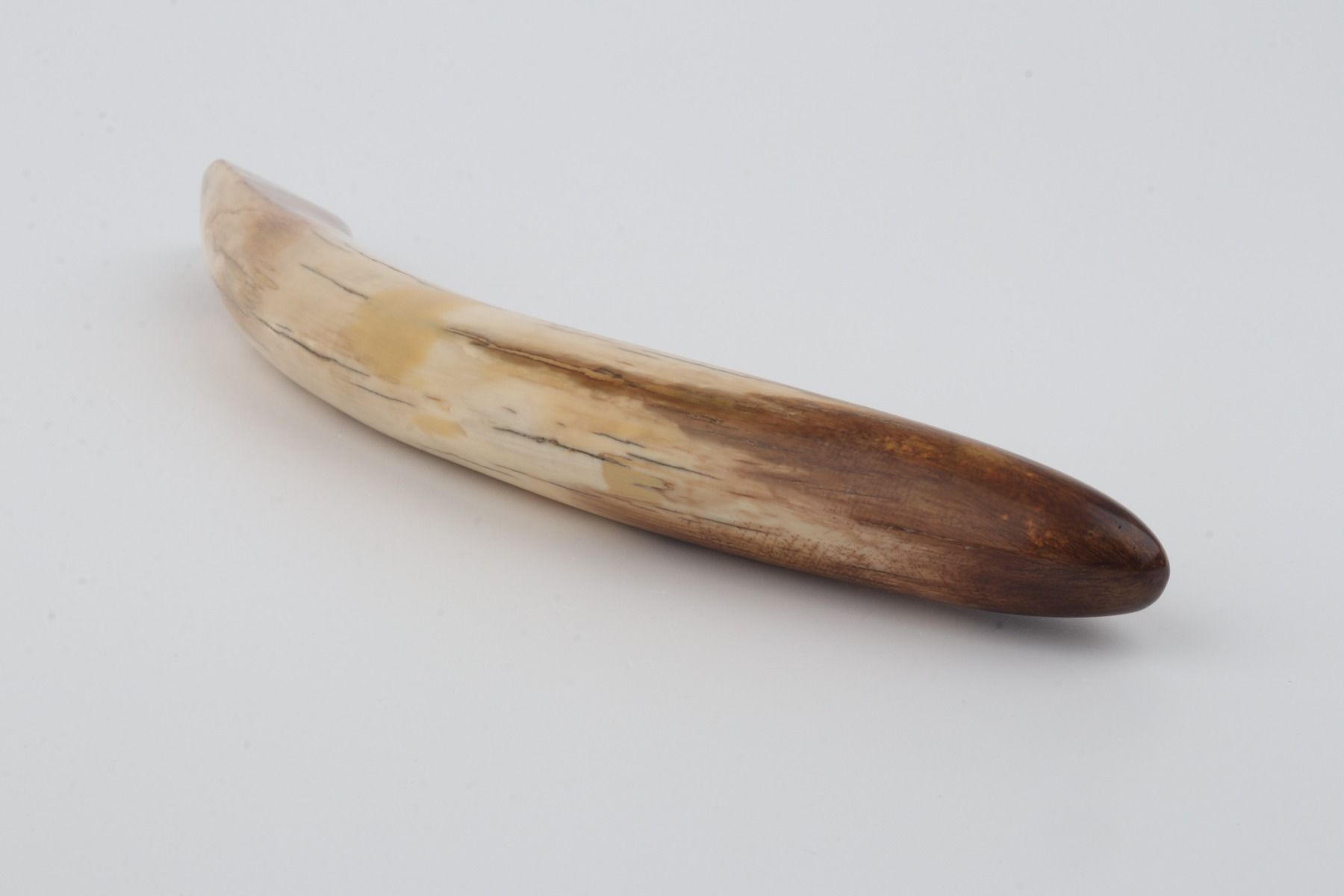 Restored mammoth tusk tip