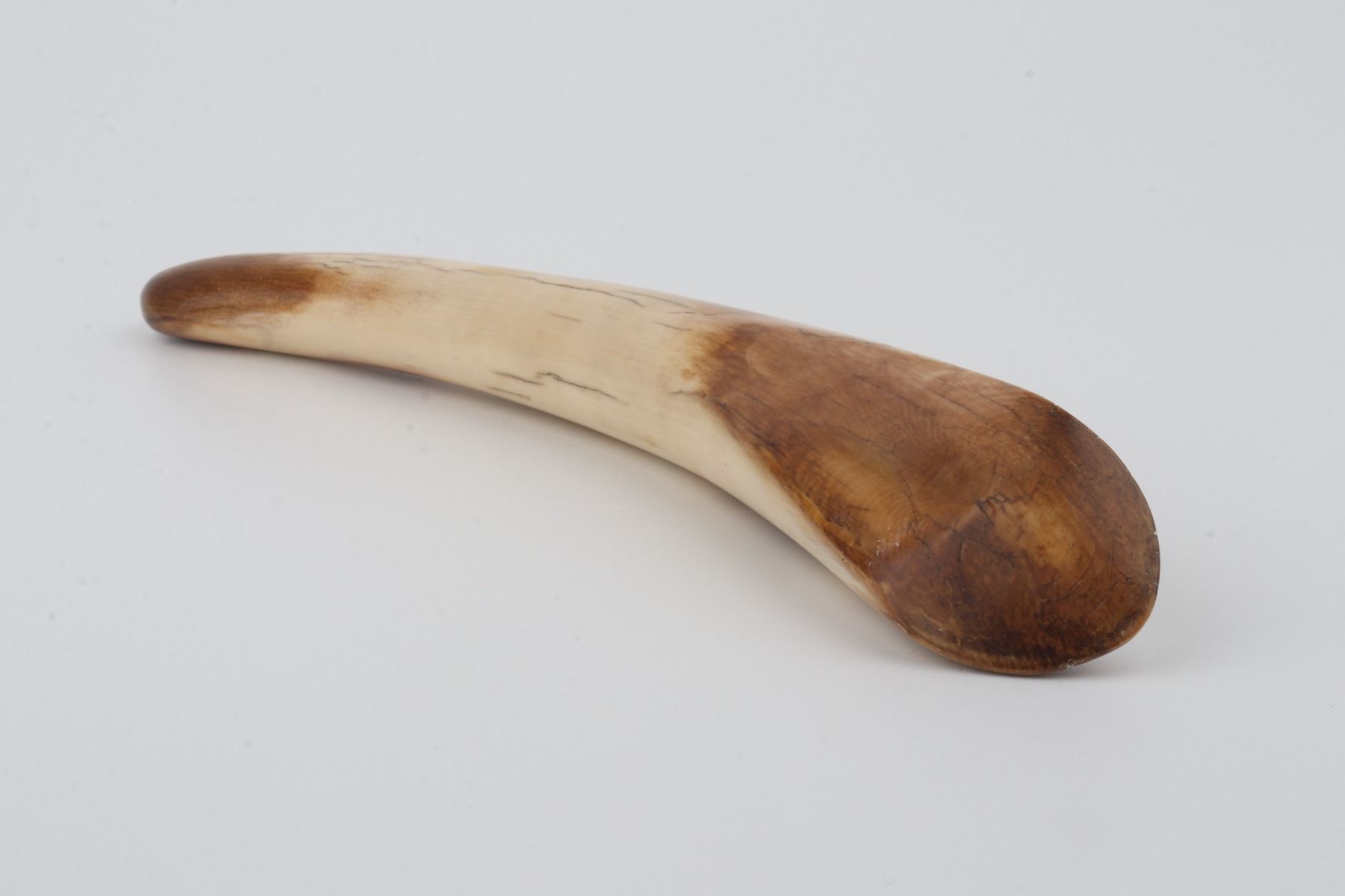 Restored mammoth tusk tip
