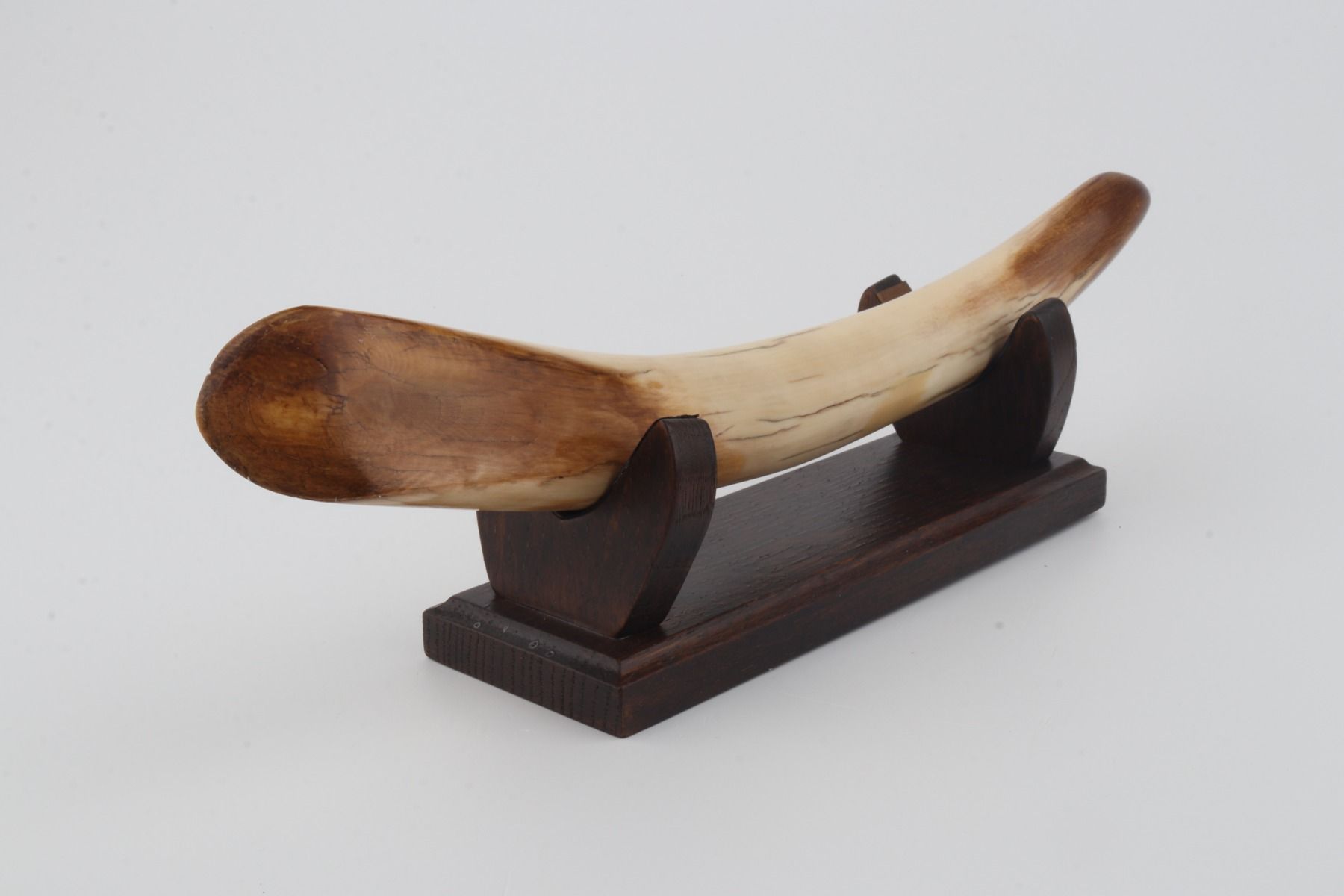 Restored mammoth tusk tip