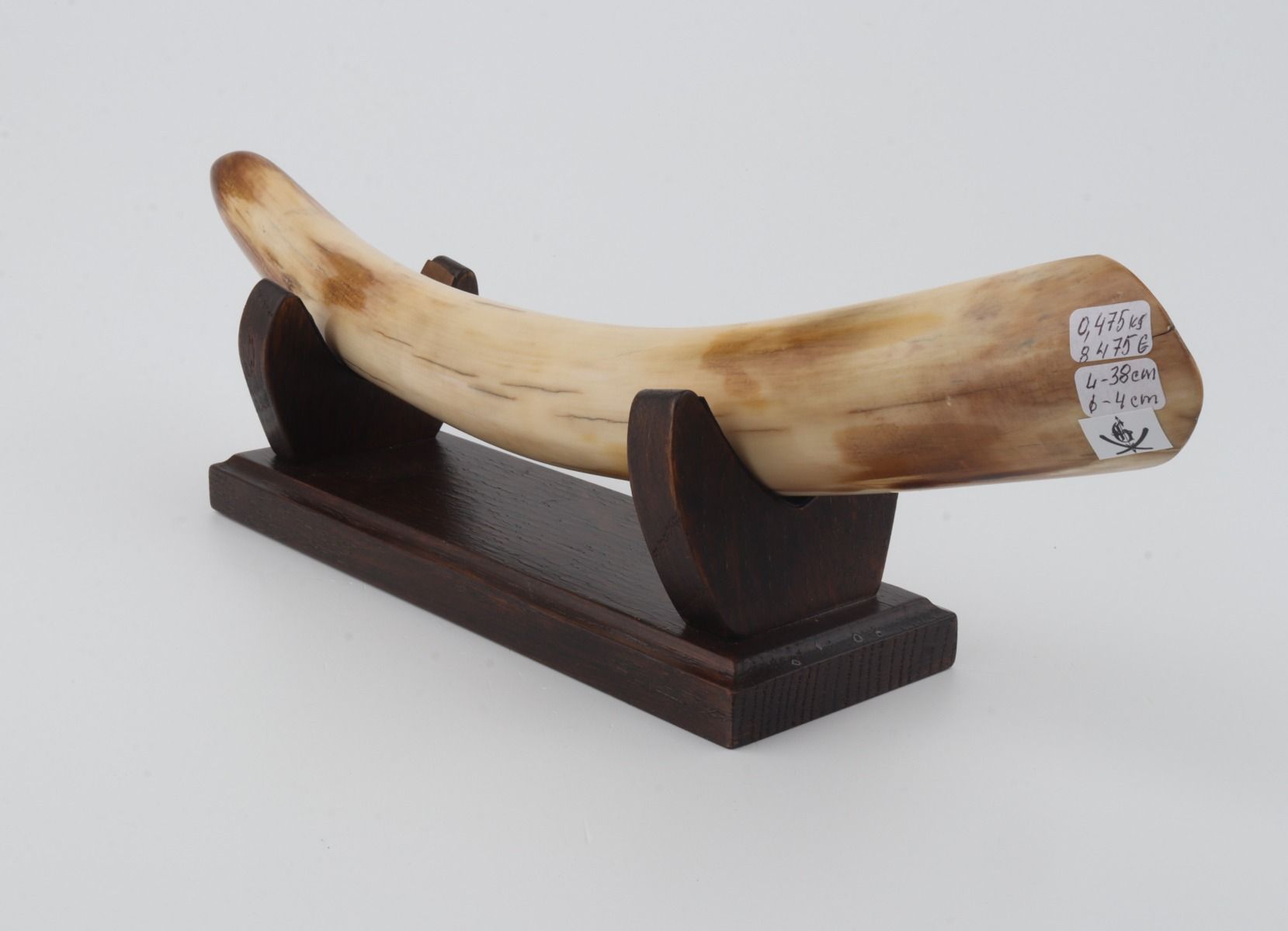 Restored mammoth tusk tip