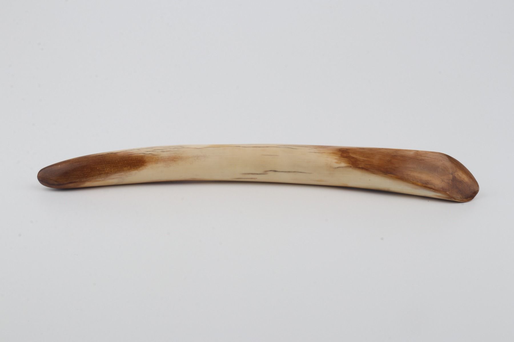 Restored mammoth tusk tip