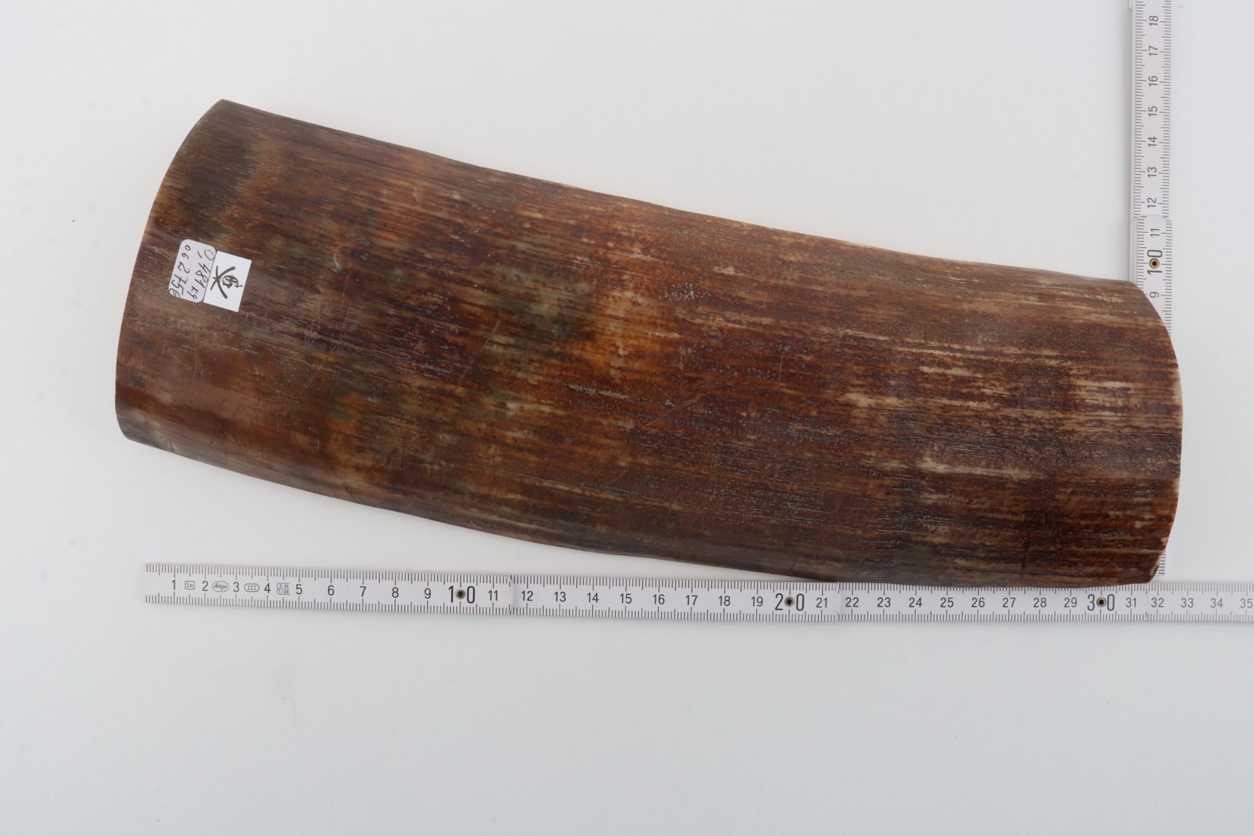 Brown mammoth bark