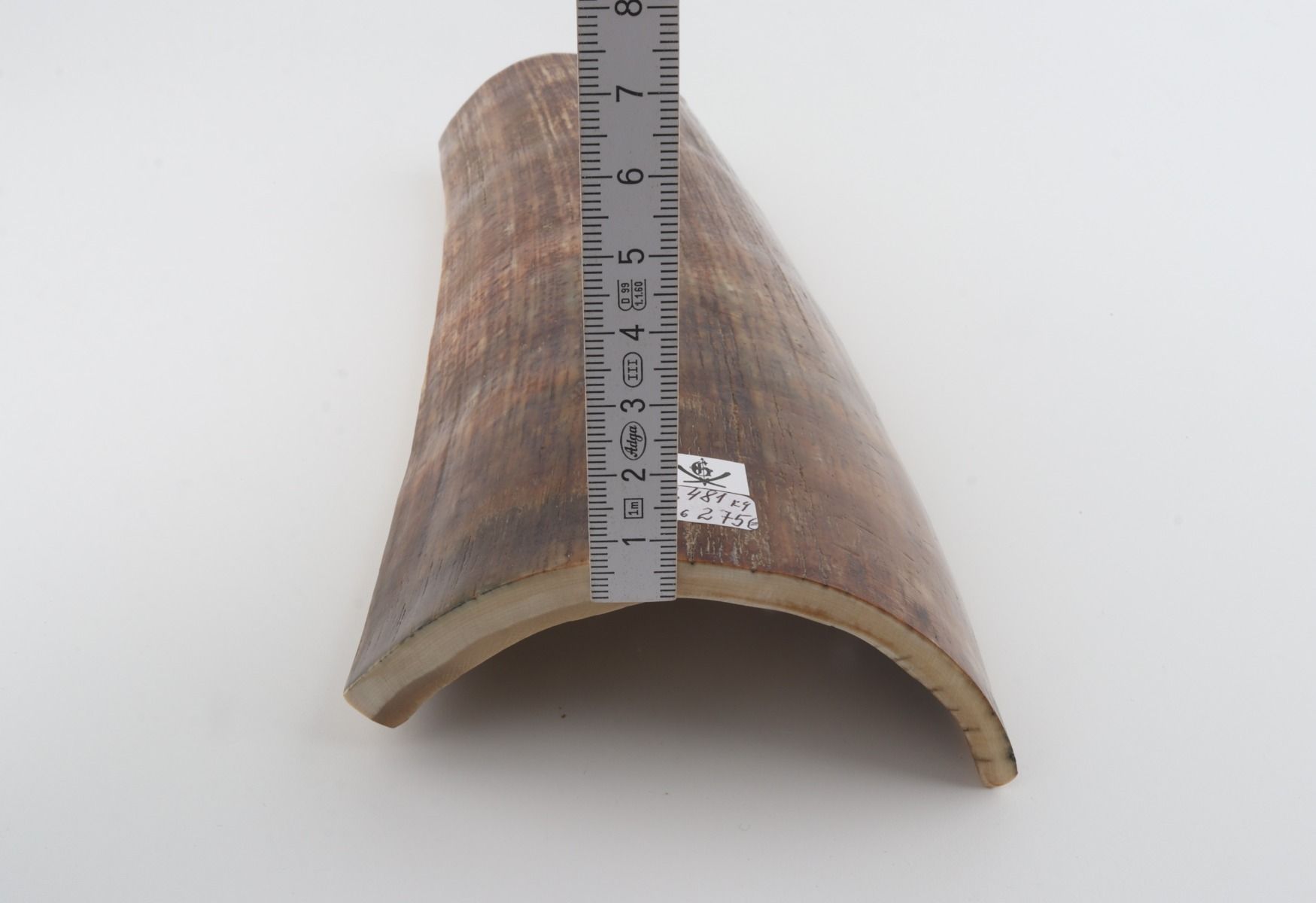 Brown mammoth bark