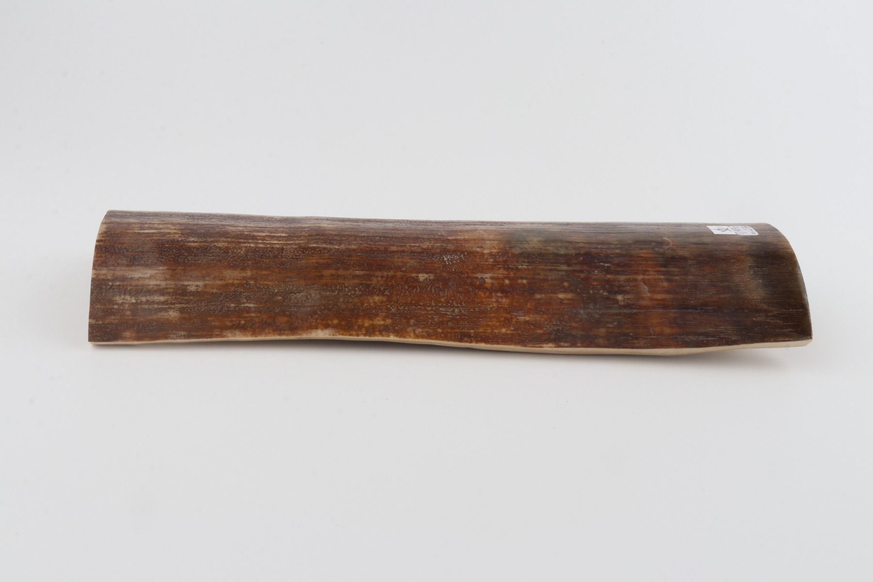 Brown mammoth bark