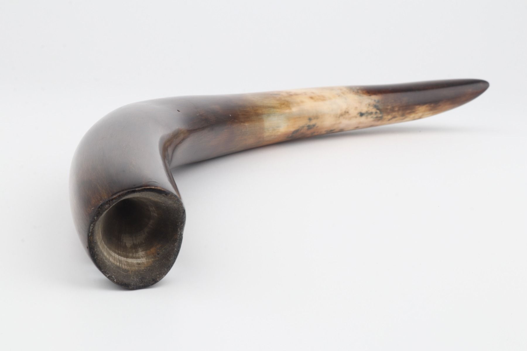 Restored woolly mammoth tusk