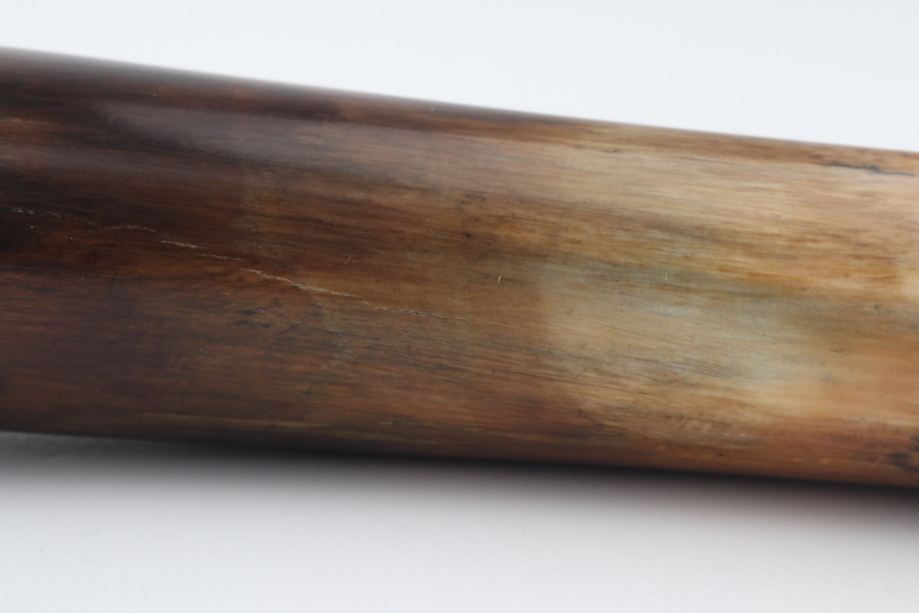 Restored woolly mammoth tusk