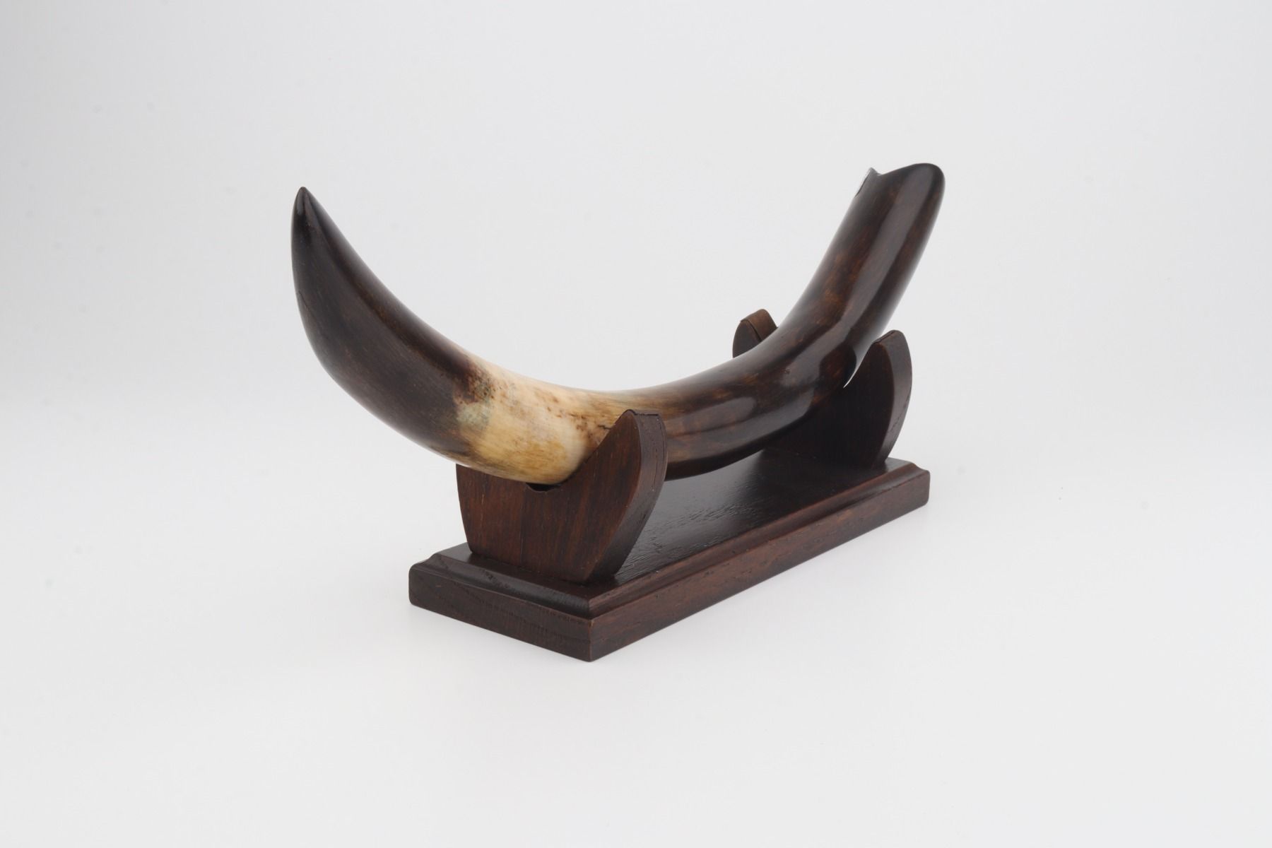 Restored woolly mammoth tusk