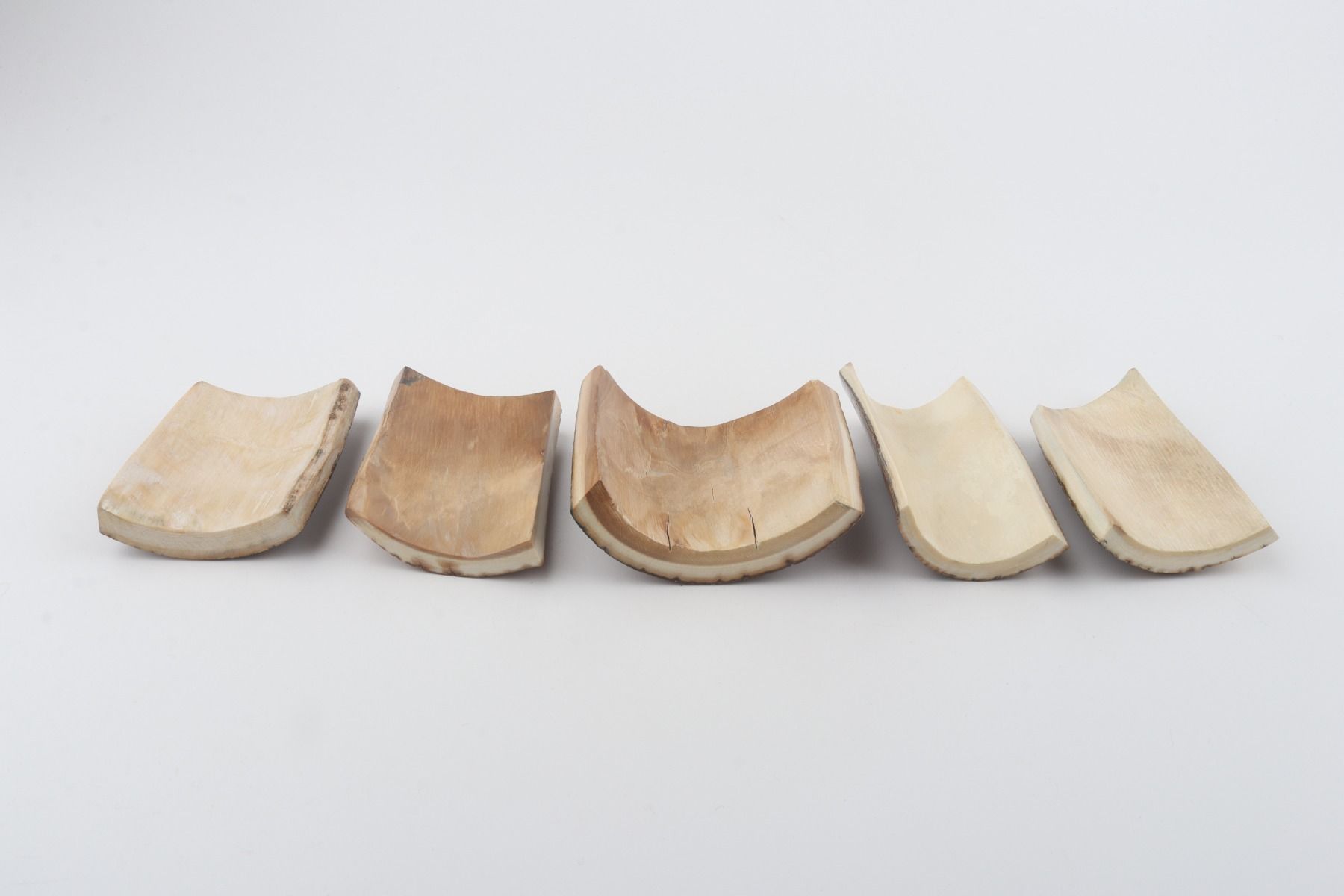 Natural mammoth bark pieces