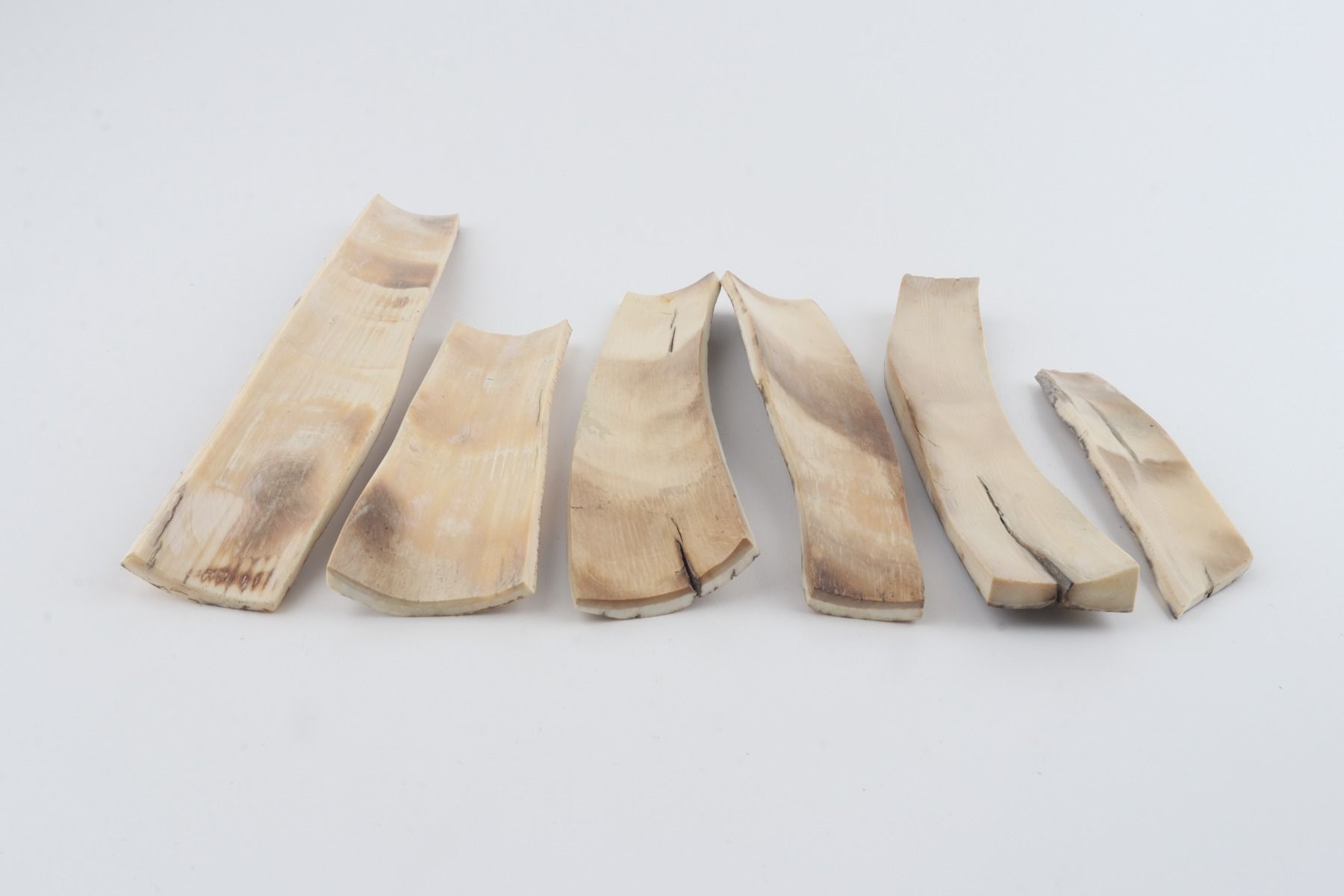 Natural mammoth bark pieces