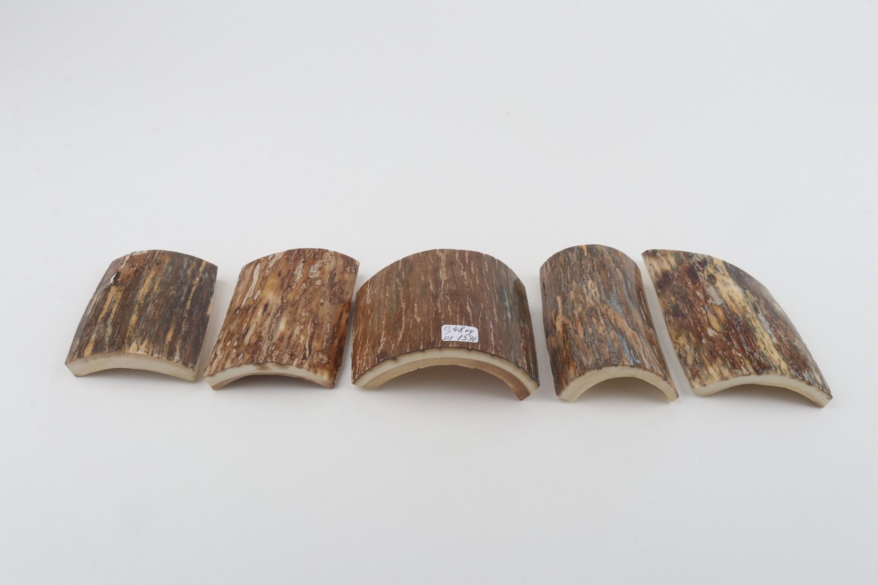 Natural mammoth bark pieces