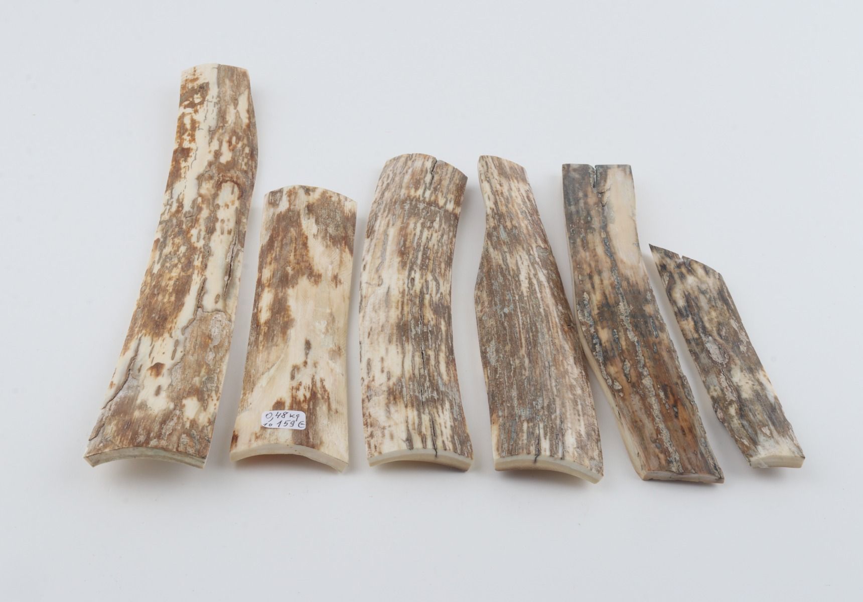Natural mammoth bark pieces