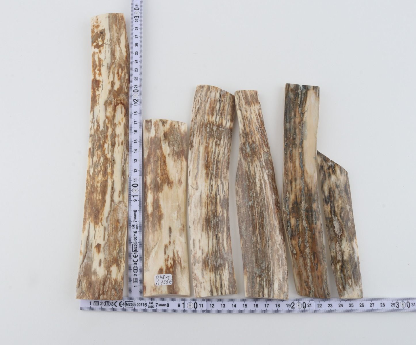 Natural mammoth bark pieces