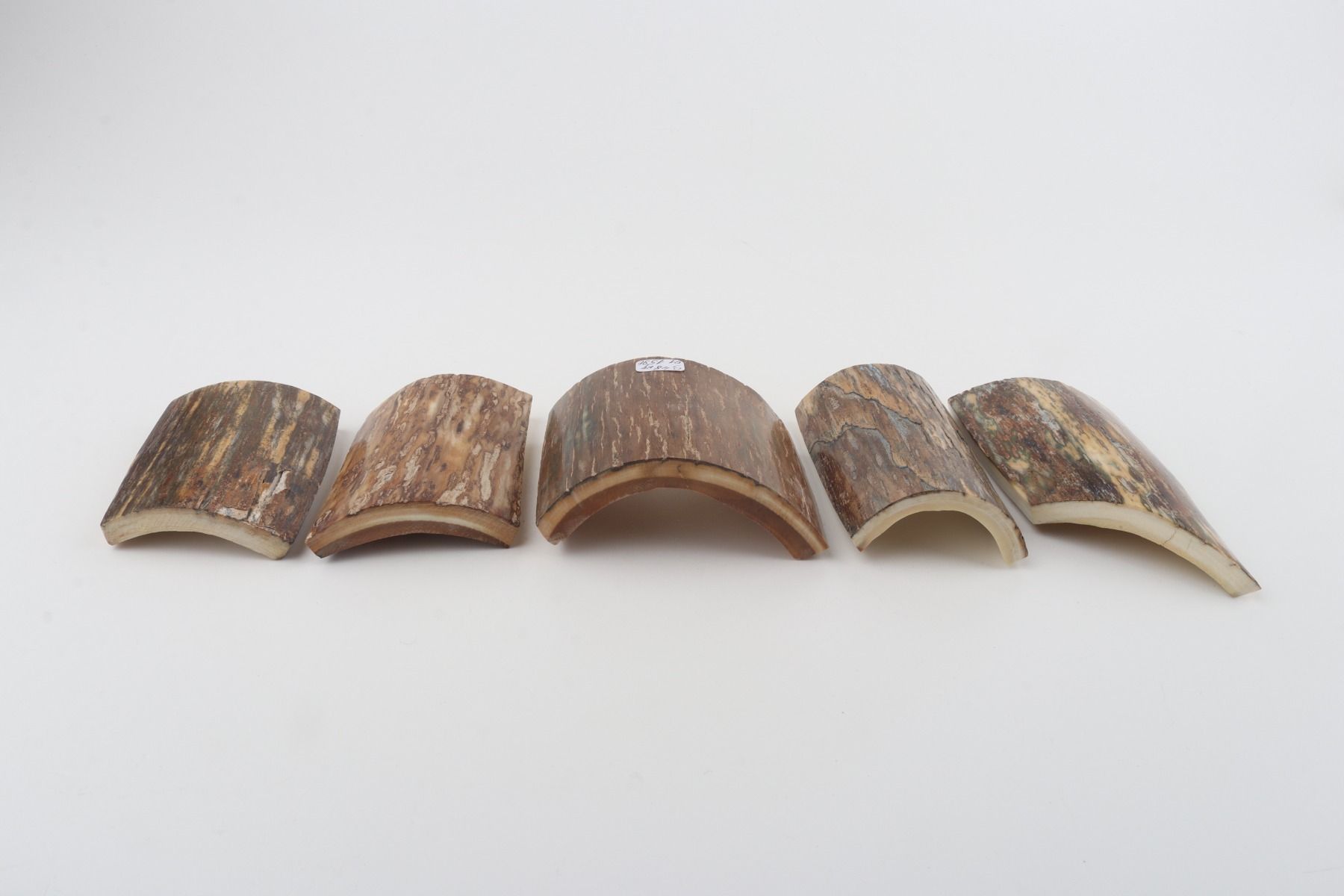 Natural mammoth bark pieces