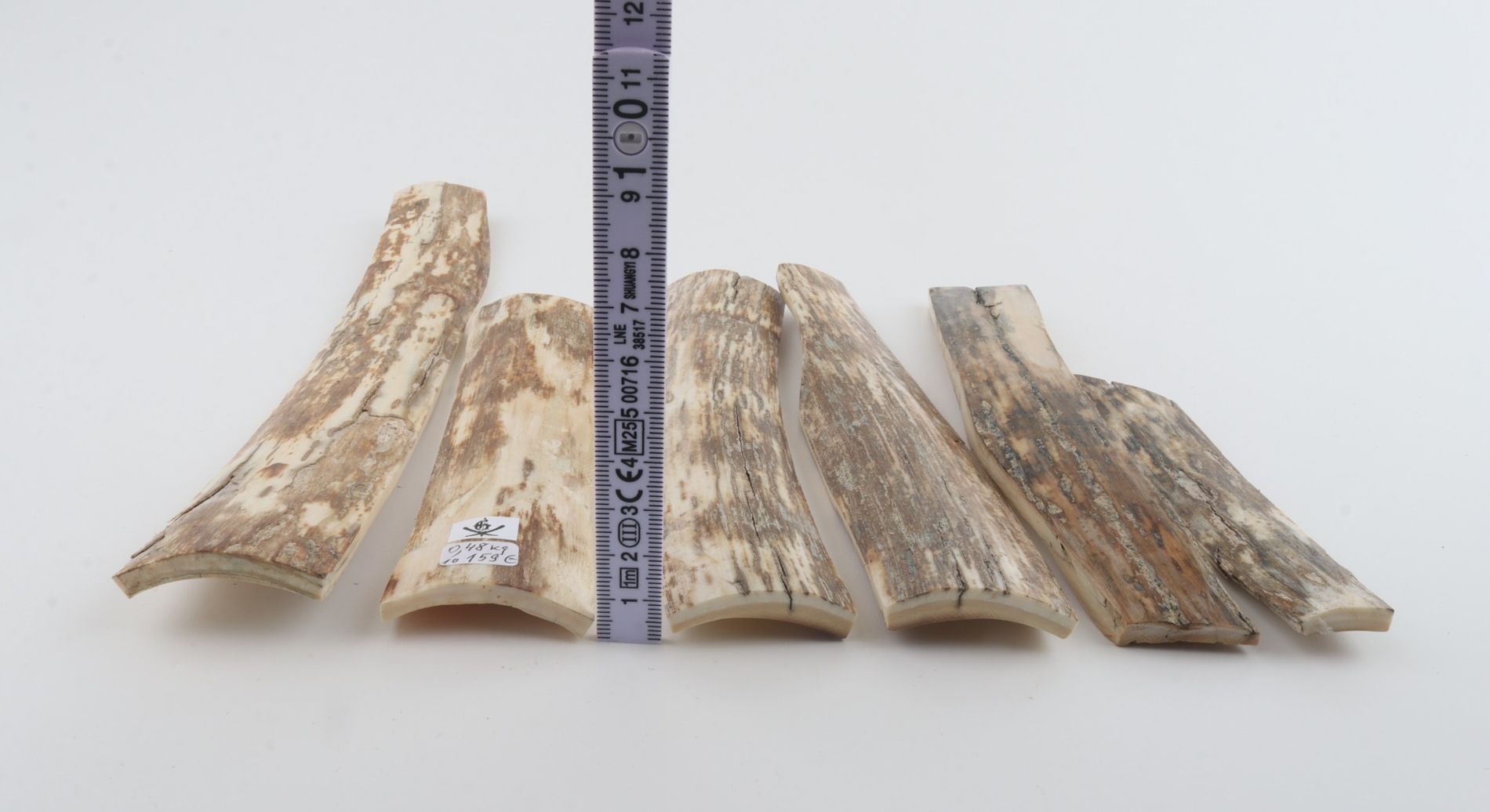 Natural mammoth bark pieces