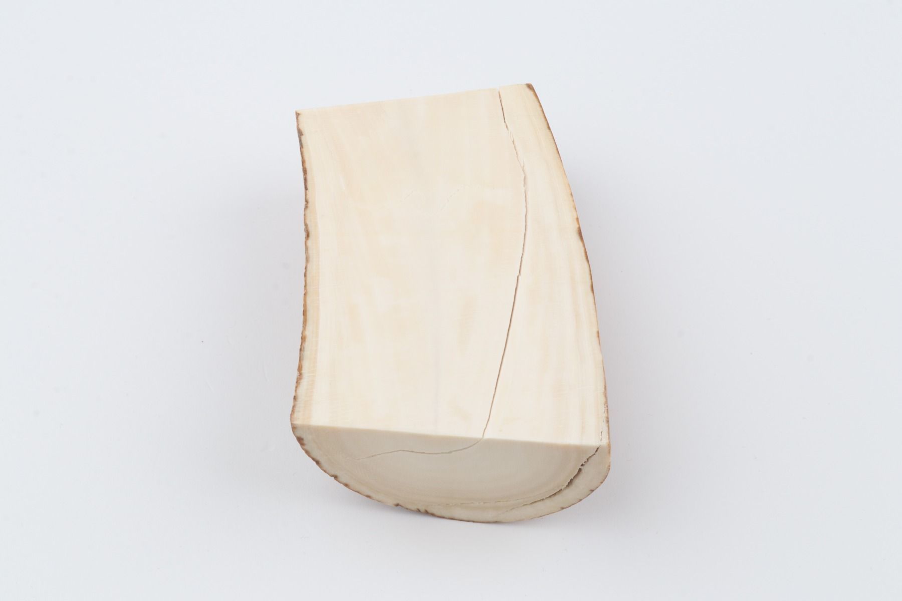 Natural mammoth tusk piece