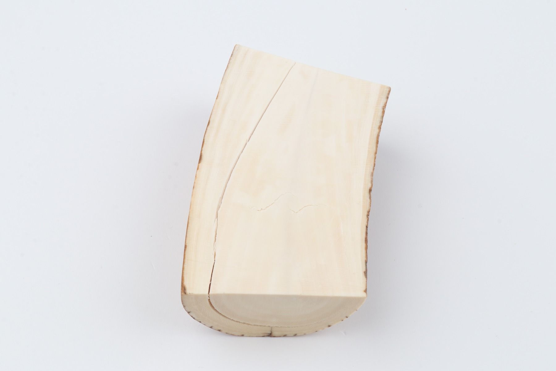 Natural mammoth tusk piece