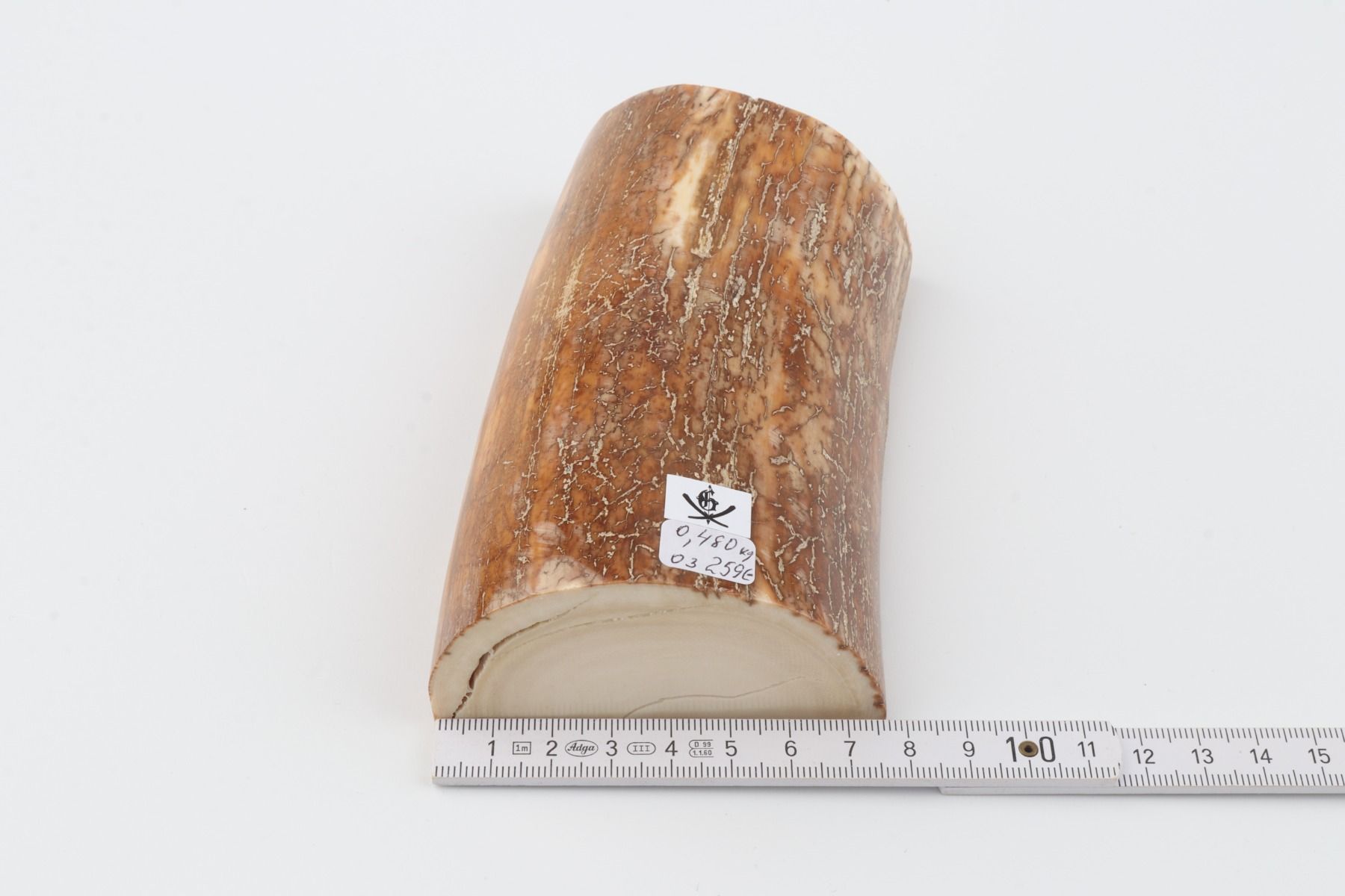 Natural mammoth tusk piece