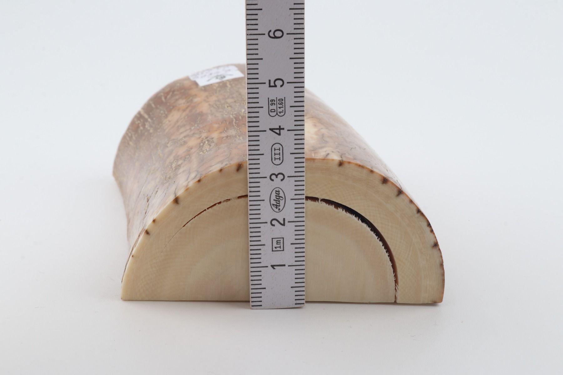 Natural mammoth tusk piece