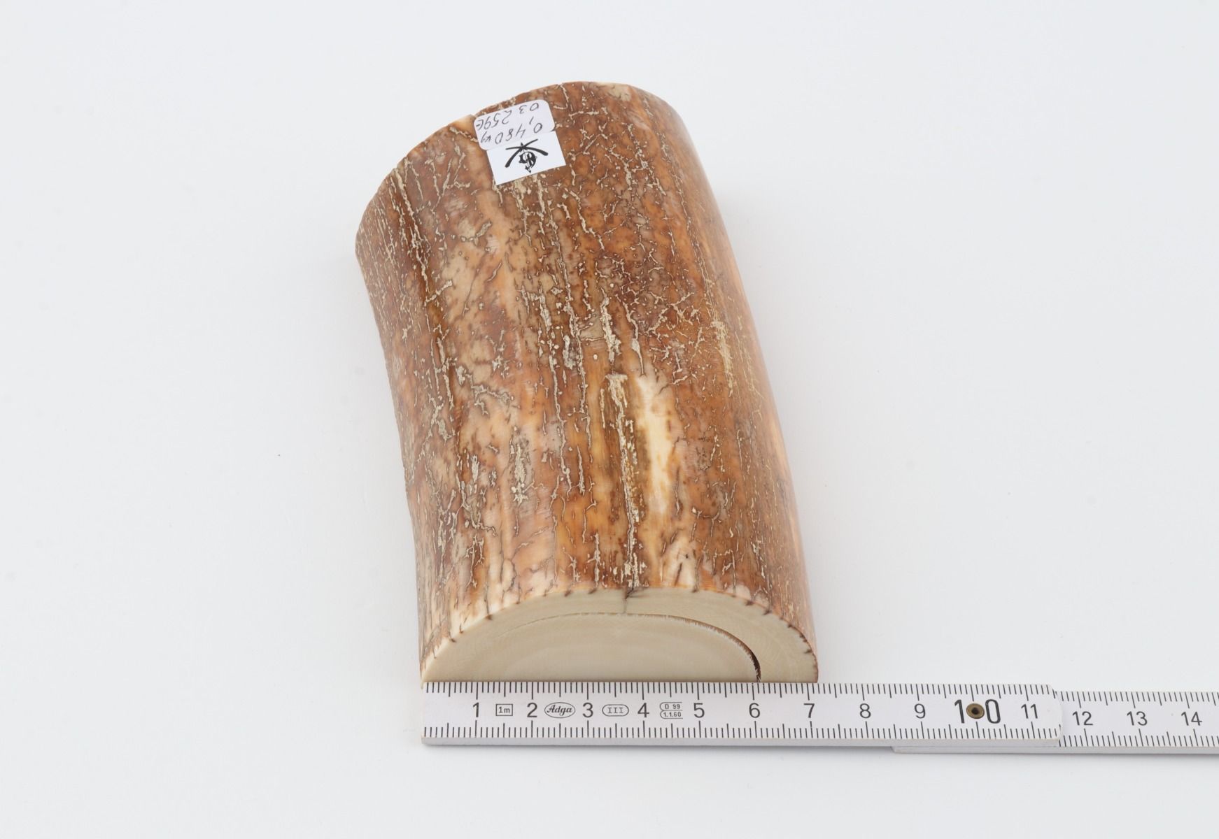 Natural mammoth tusk piece