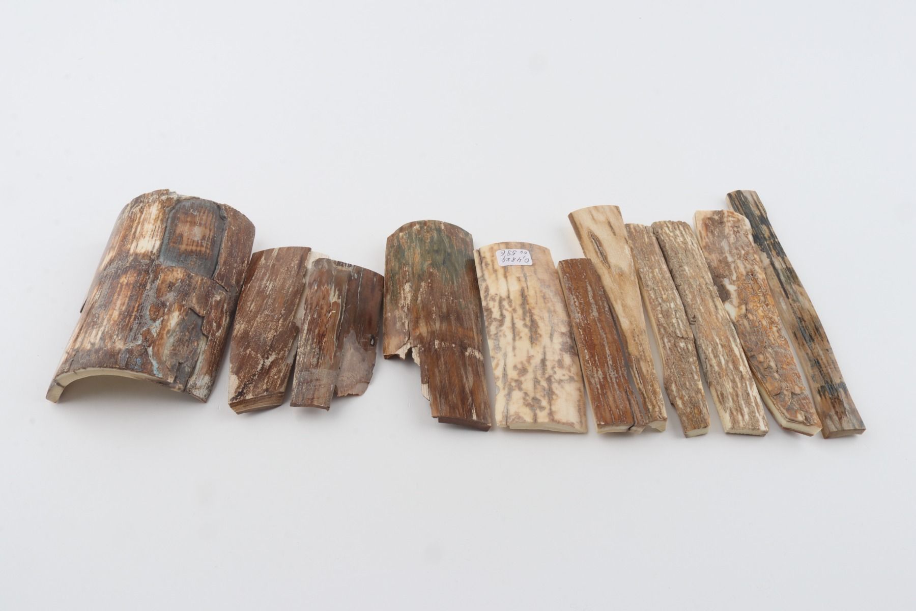 Natural mammoth bark pieces