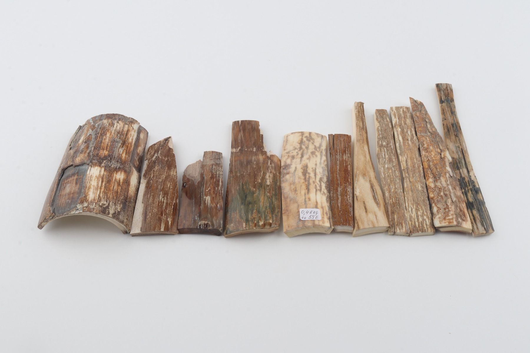 Natural mammoth bark pieces